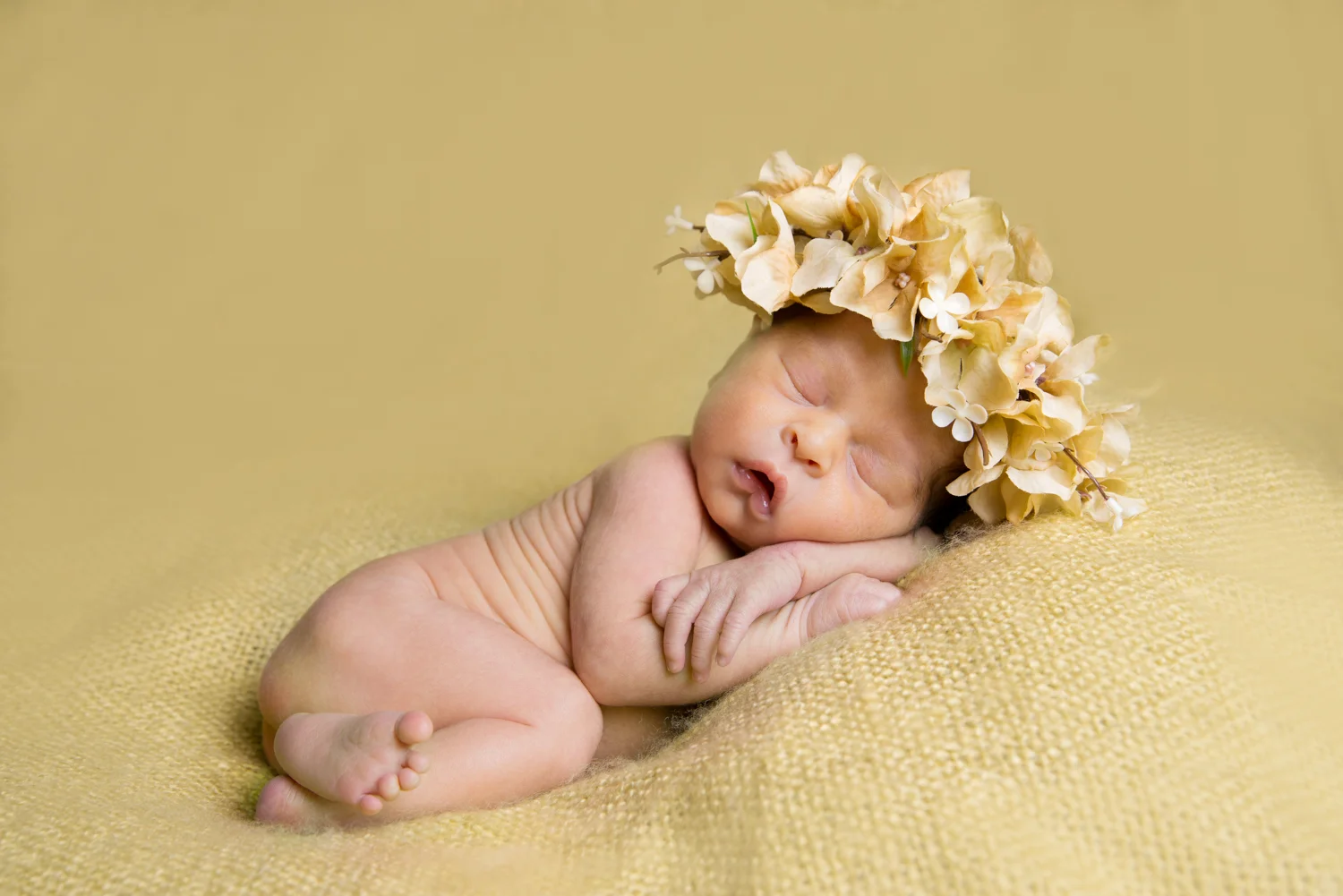 DSC_8597-Edit.jpg
