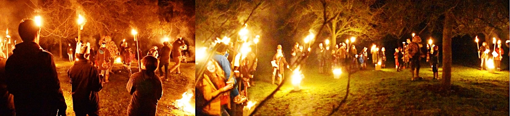 Wassail.jpg