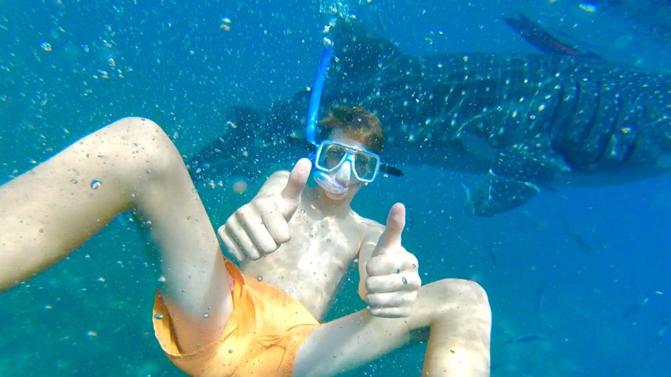 Los mounstruos marinos