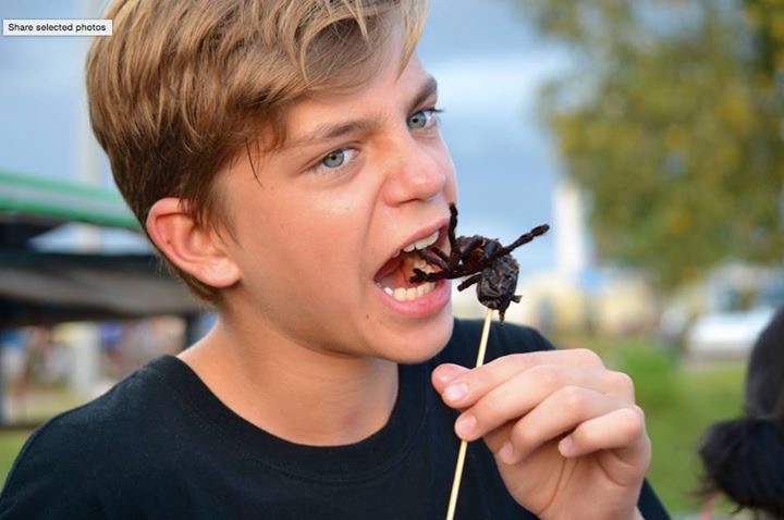 Eating Insects 