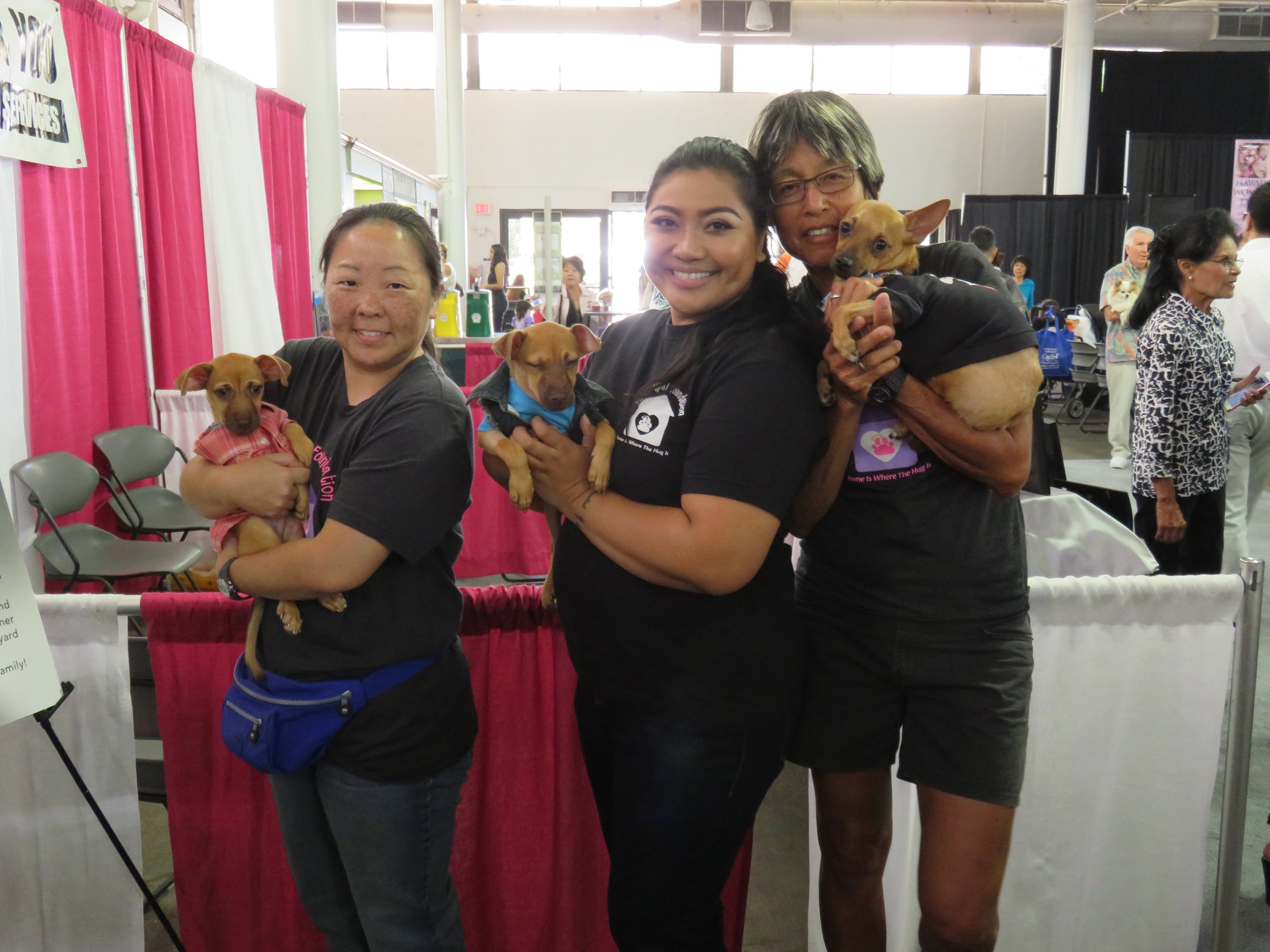 Celebrities and Their Pets Fashion Show