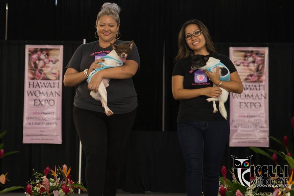 Celebrities and Their Pets Fashion Show