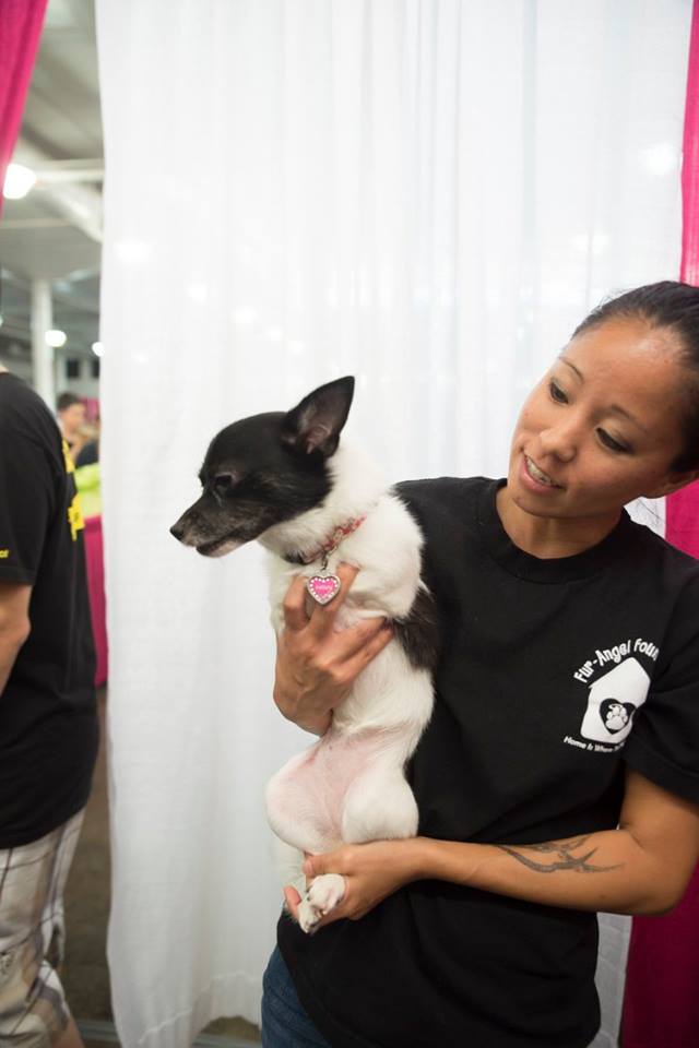 Celebrities and Their Pets Fashion Show