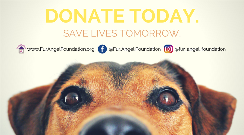 Donatetoday (3).png