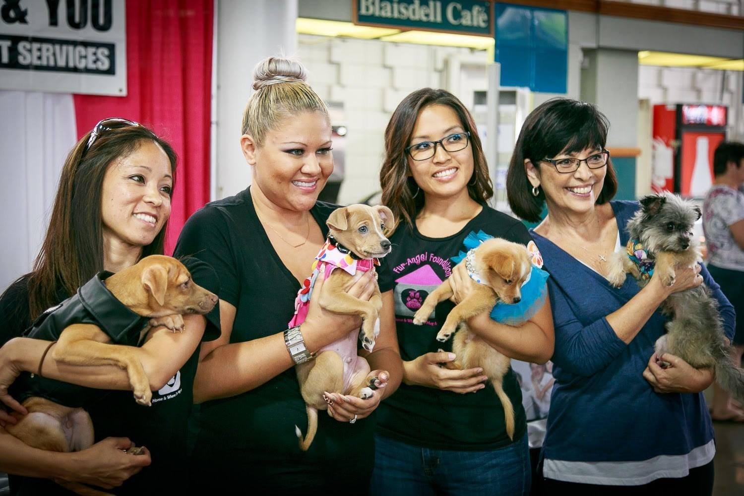 Celebrities and Their Pets Fashion Show featured at the Hawaii Woman Expo