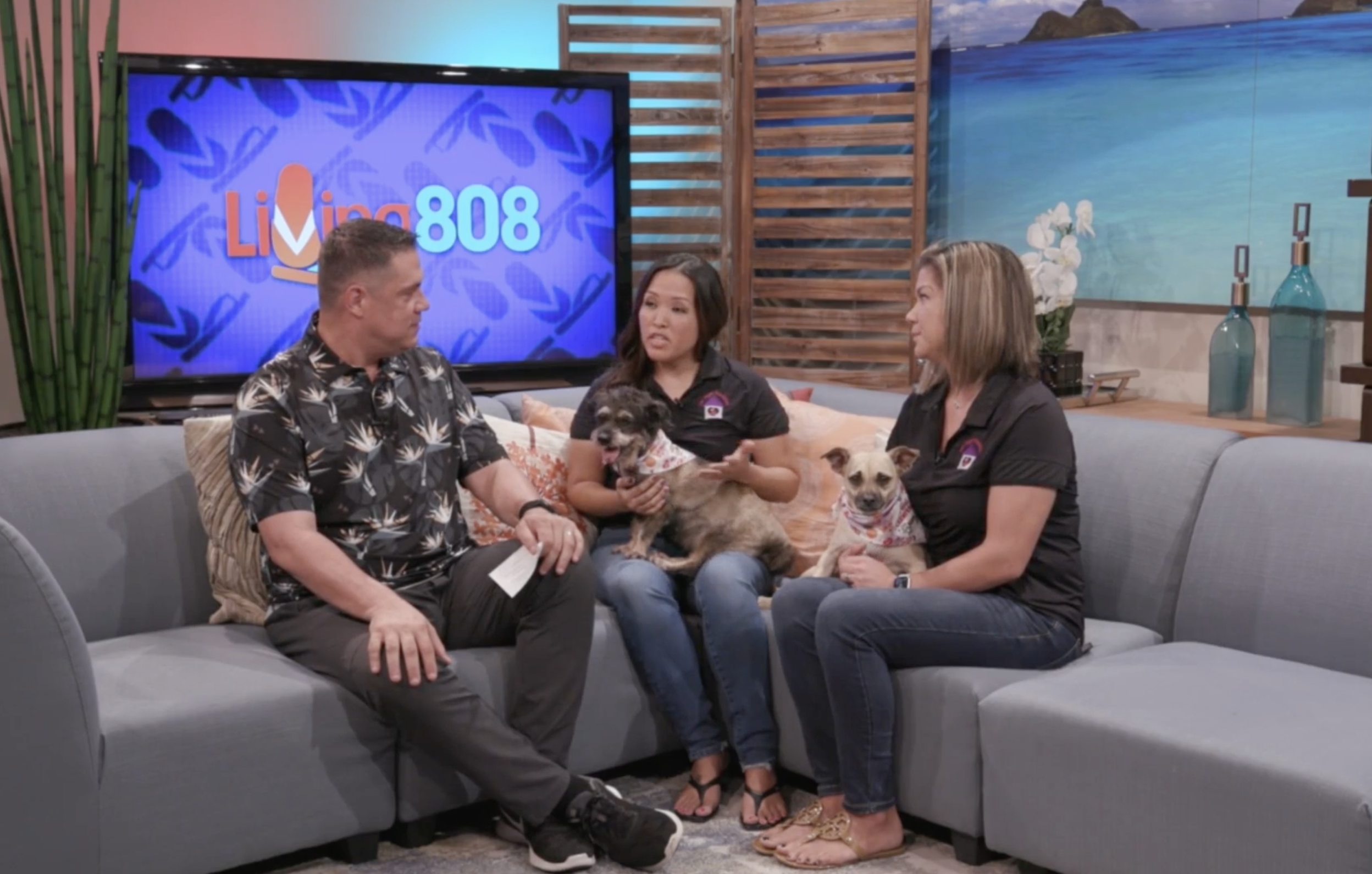 FAF to Host a K9 and Keiki Carnival