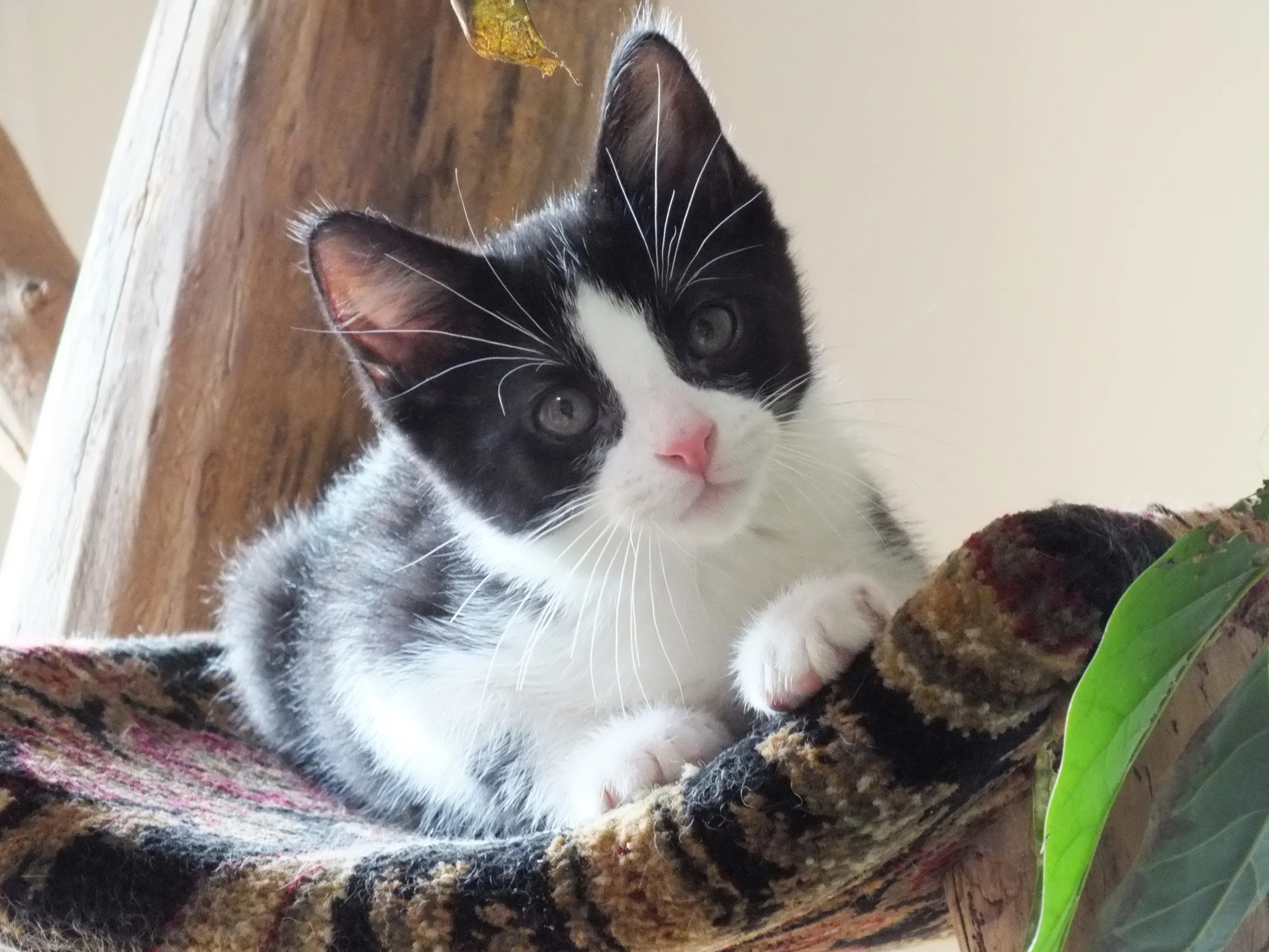 First Class, Graduation Day!