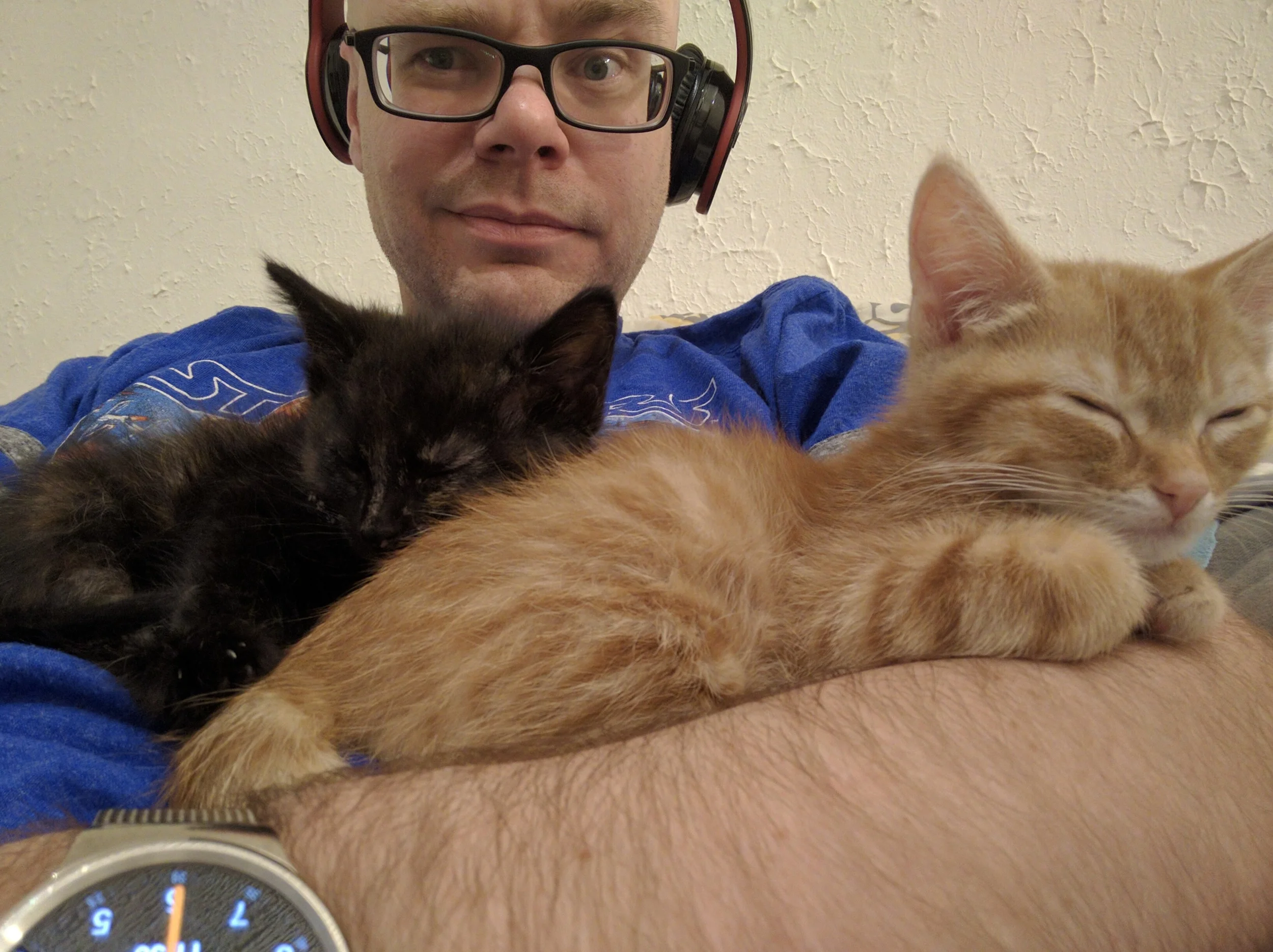 Toffee and Tamarind napping together!