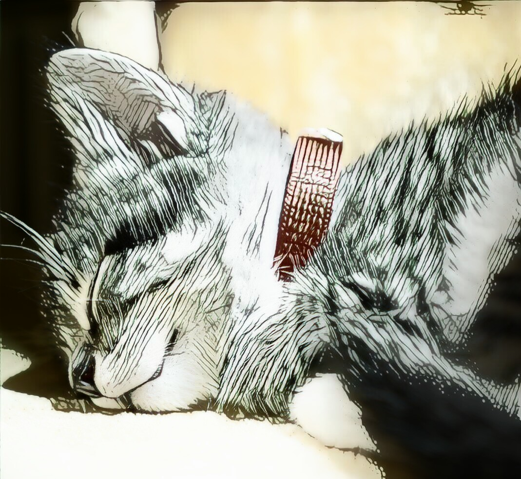 Prisma AI interpretation of the previous photo.