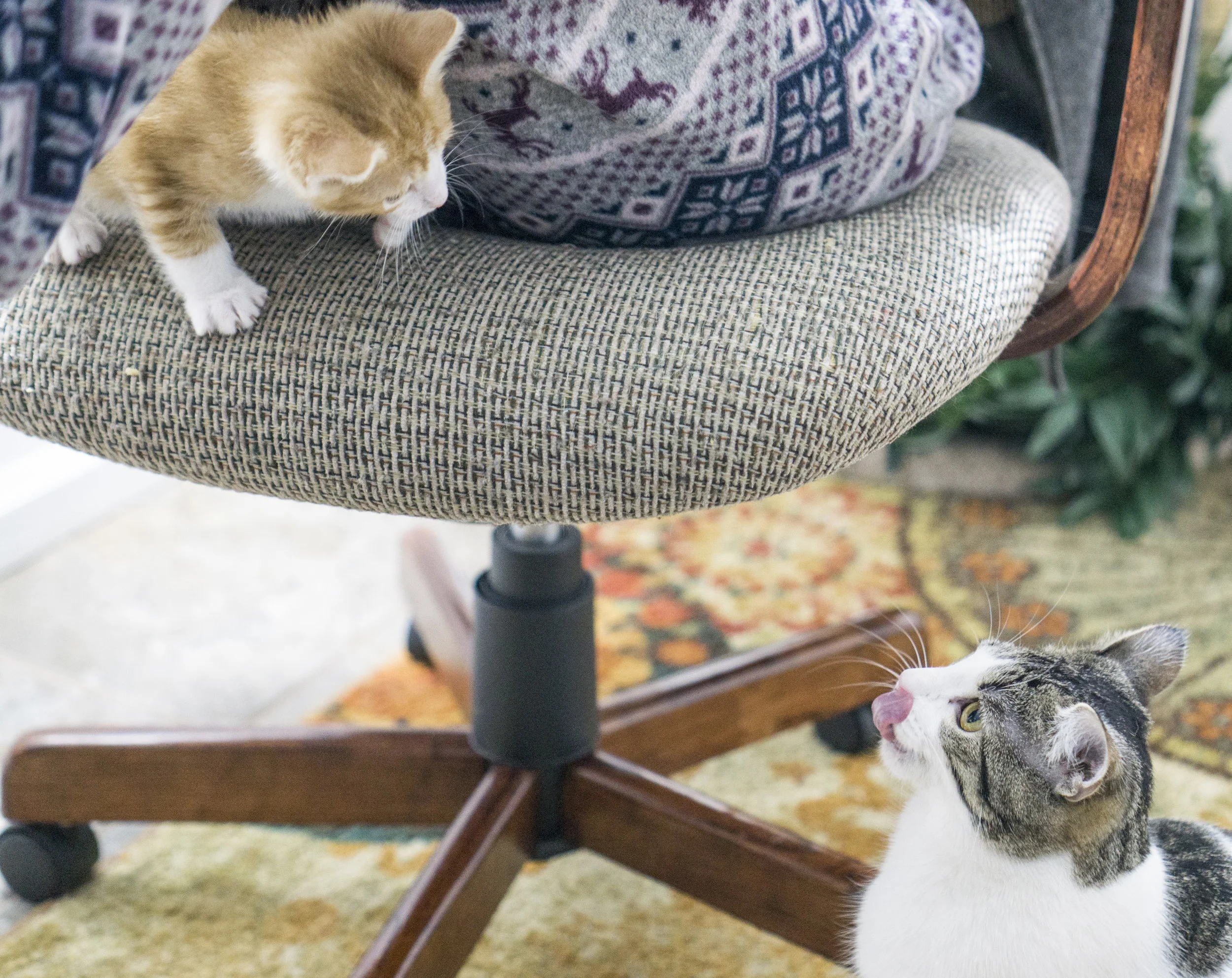 Charlie taking lessons from Professor Custard.