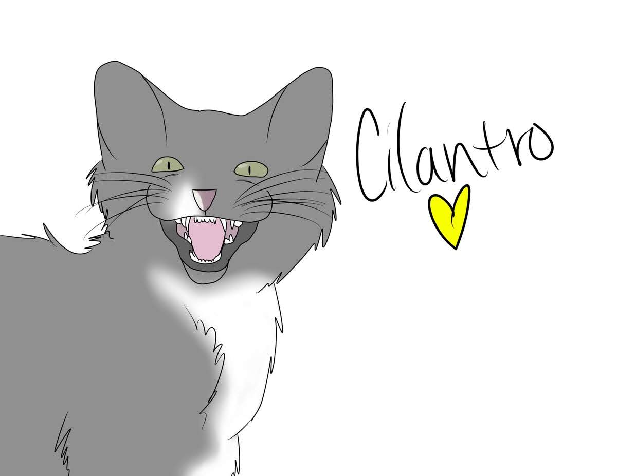 Cilantro by KitAcademyFans