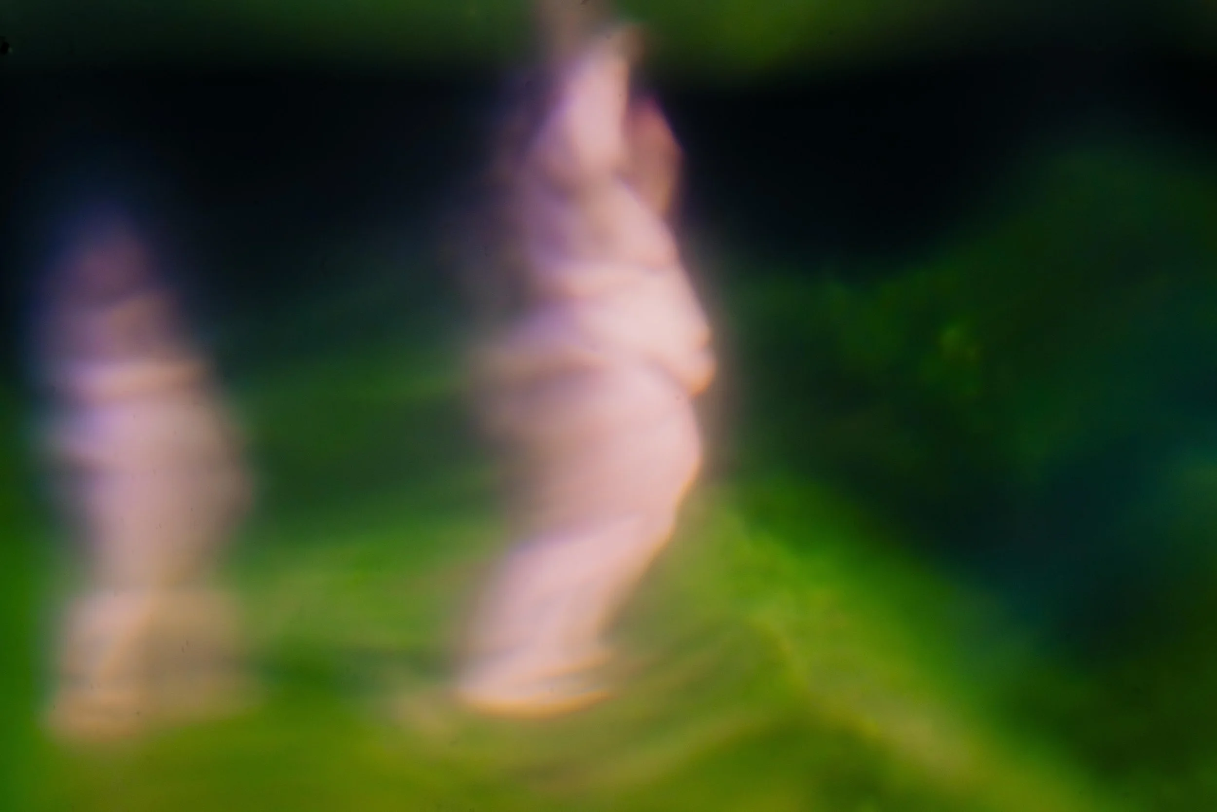 nnelson-1-2 copy 2.jpeg