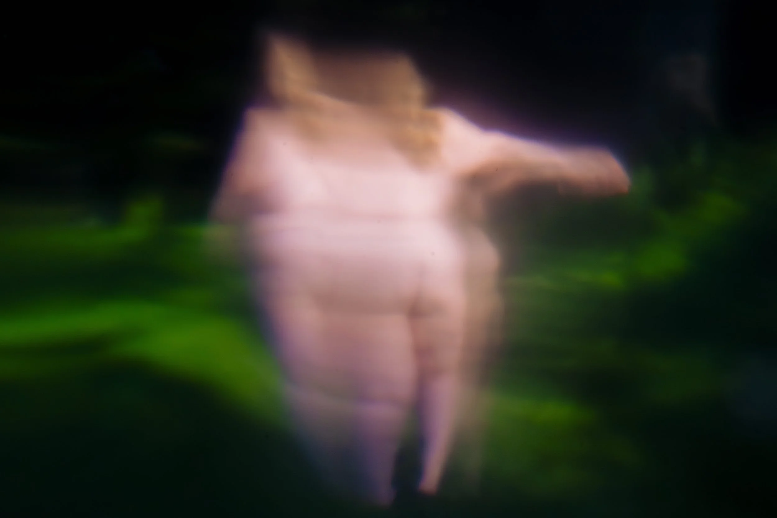 nnelson-1-5 copy 2.jpeg