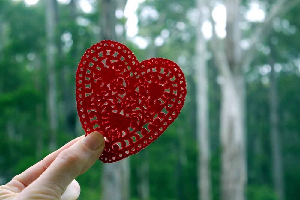 heart-forest - Jill.jpg