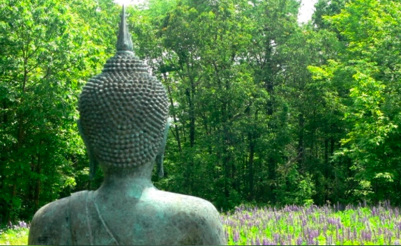 Walking the Buddha’s Path to Freedom: five-day study and practice retreat 2022
