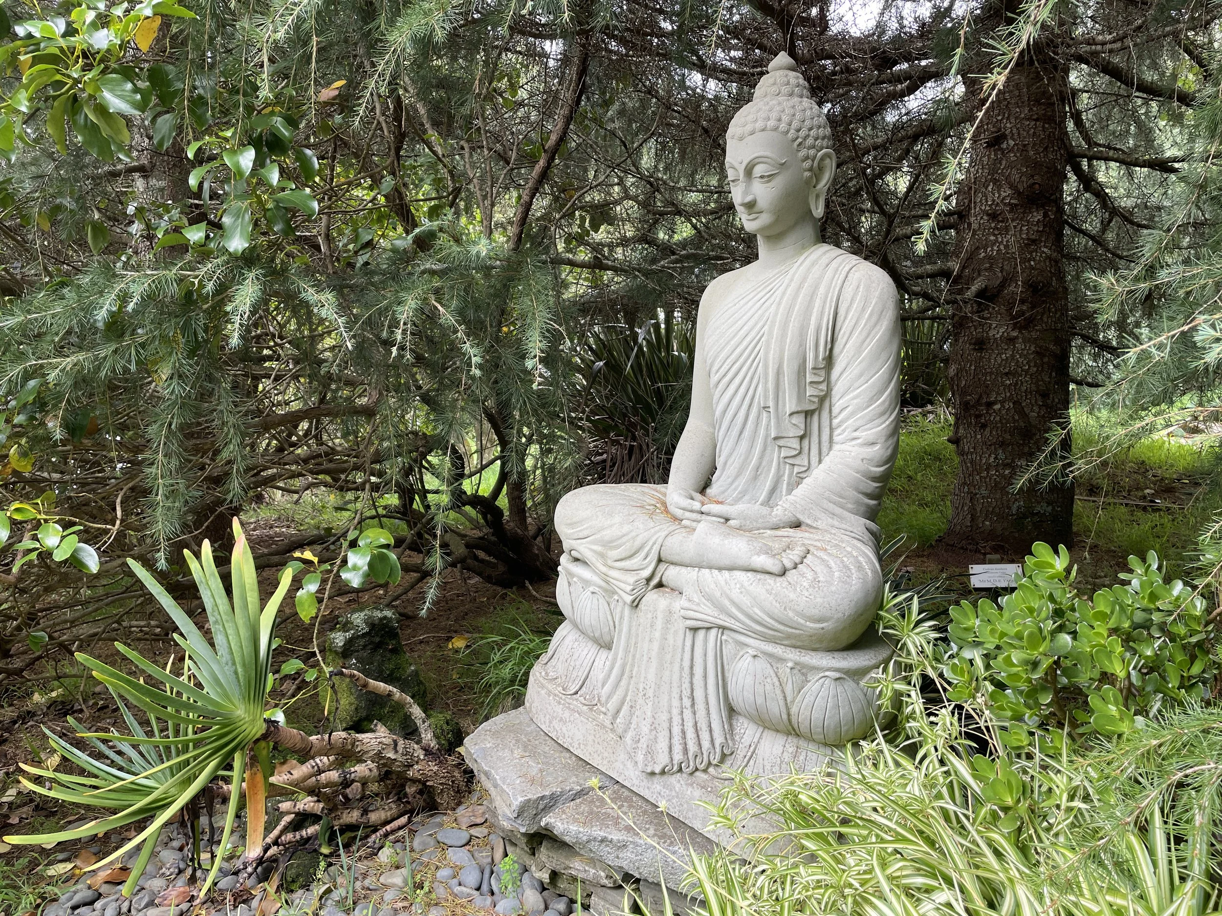 Auckland Insight Community Celebration for&nbsp;Vesak