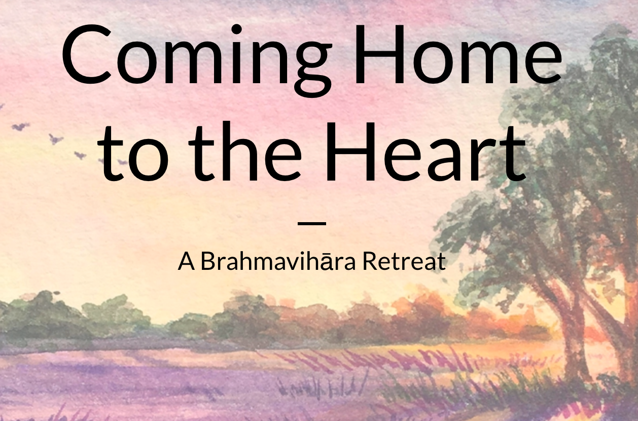 Coming Home to the Heart: A Brahmavihara Retreat - Jill Shepherd and Insight Meditation Society (IMS)
