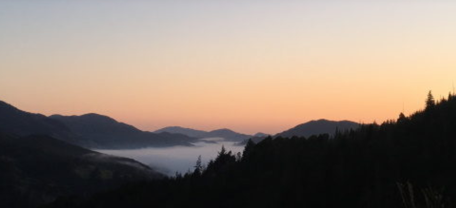 Sanctuary&nbsp;in Uncertainty