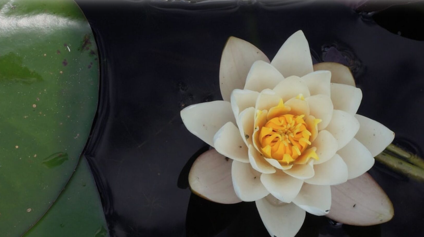 Meditation Retreat on the 4 Primary Elements