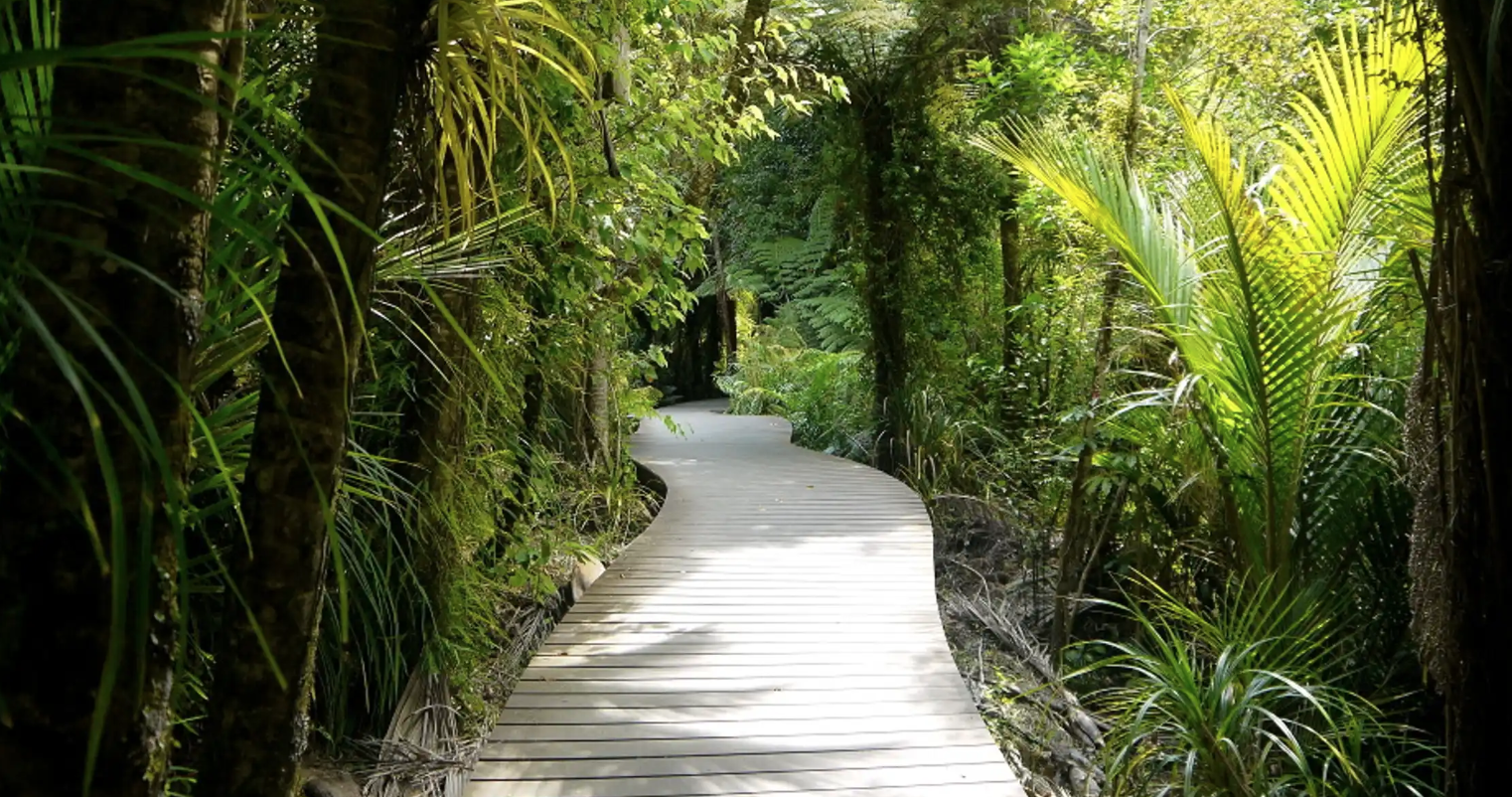 Exploring the Buddha's Path to Freedom: a four-night insight meditation retreat 2026