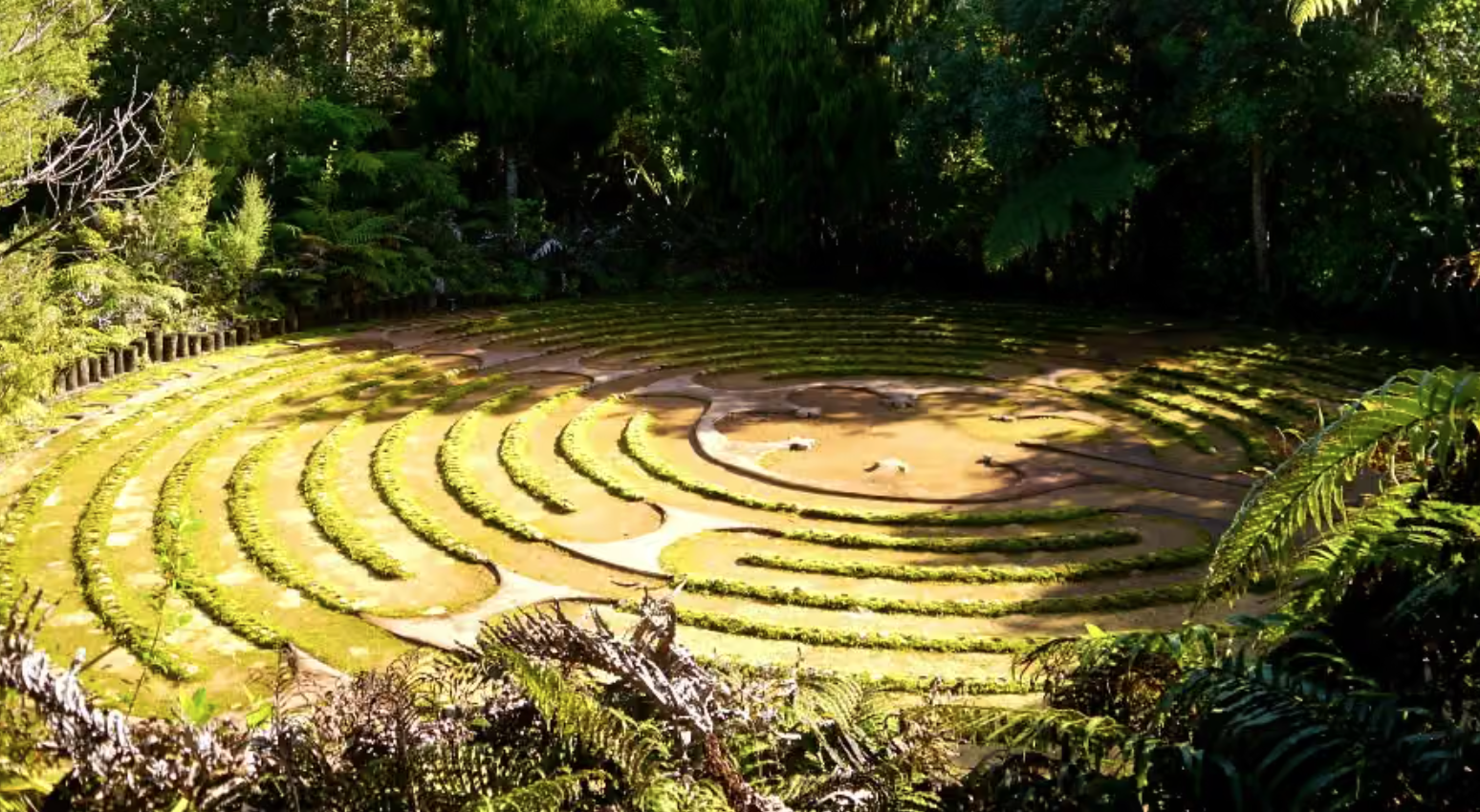 Insight Meditation Nine-Day Retreat  - Coromandel