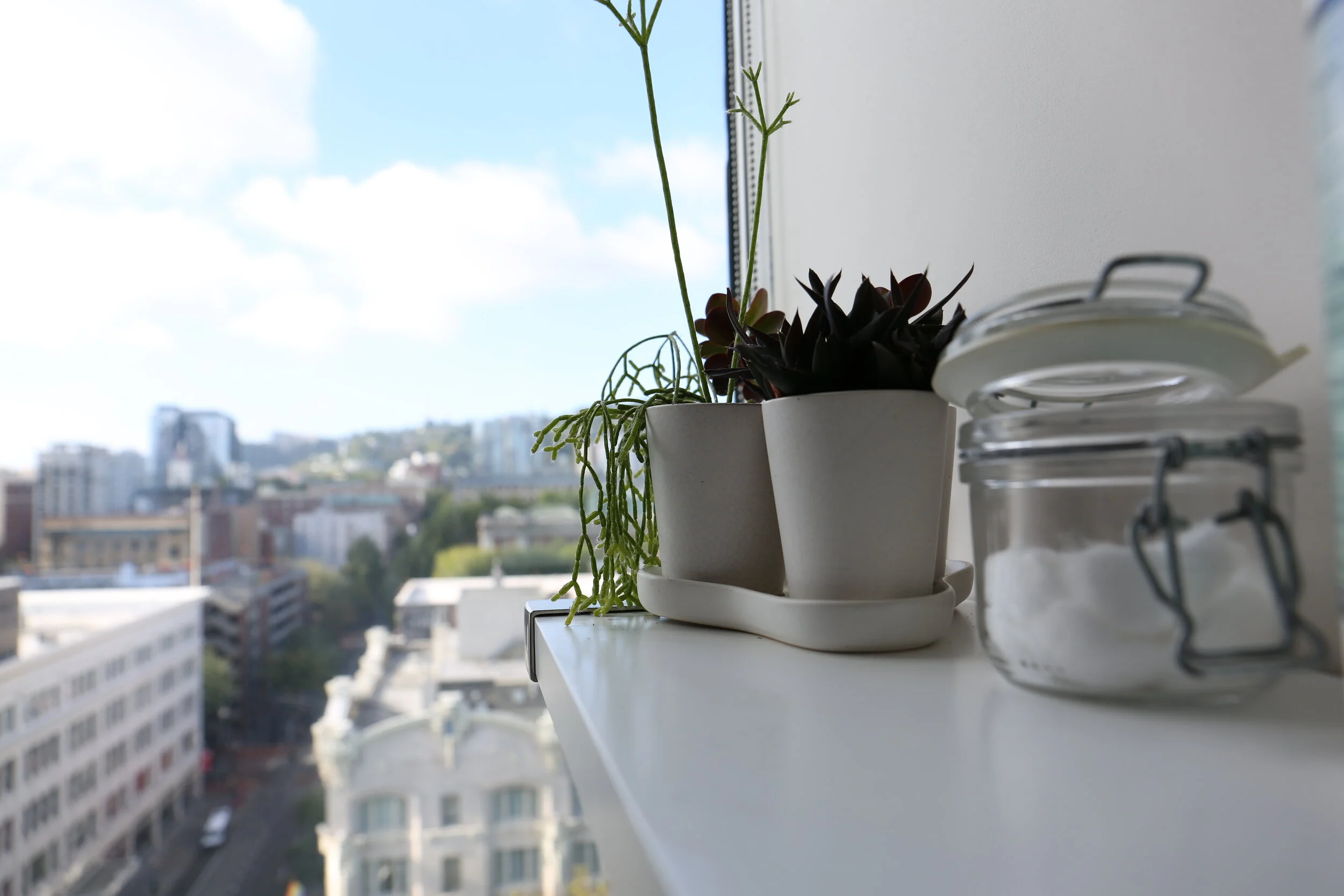 plants on a shelf overlooking downtown Portland.JPG
