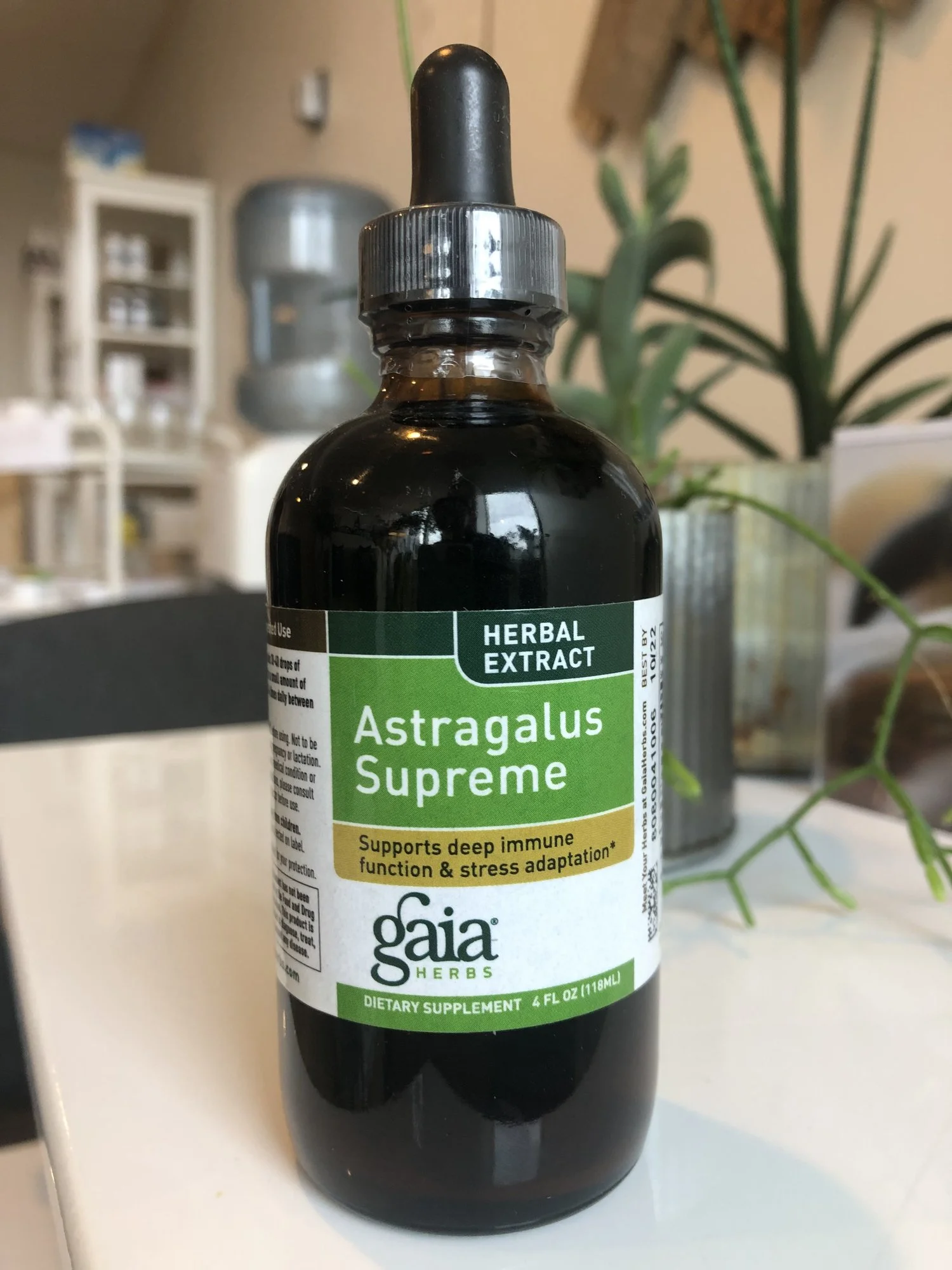 Vitalize JOURNAL Astragalus Get to Know this Plant Ally!