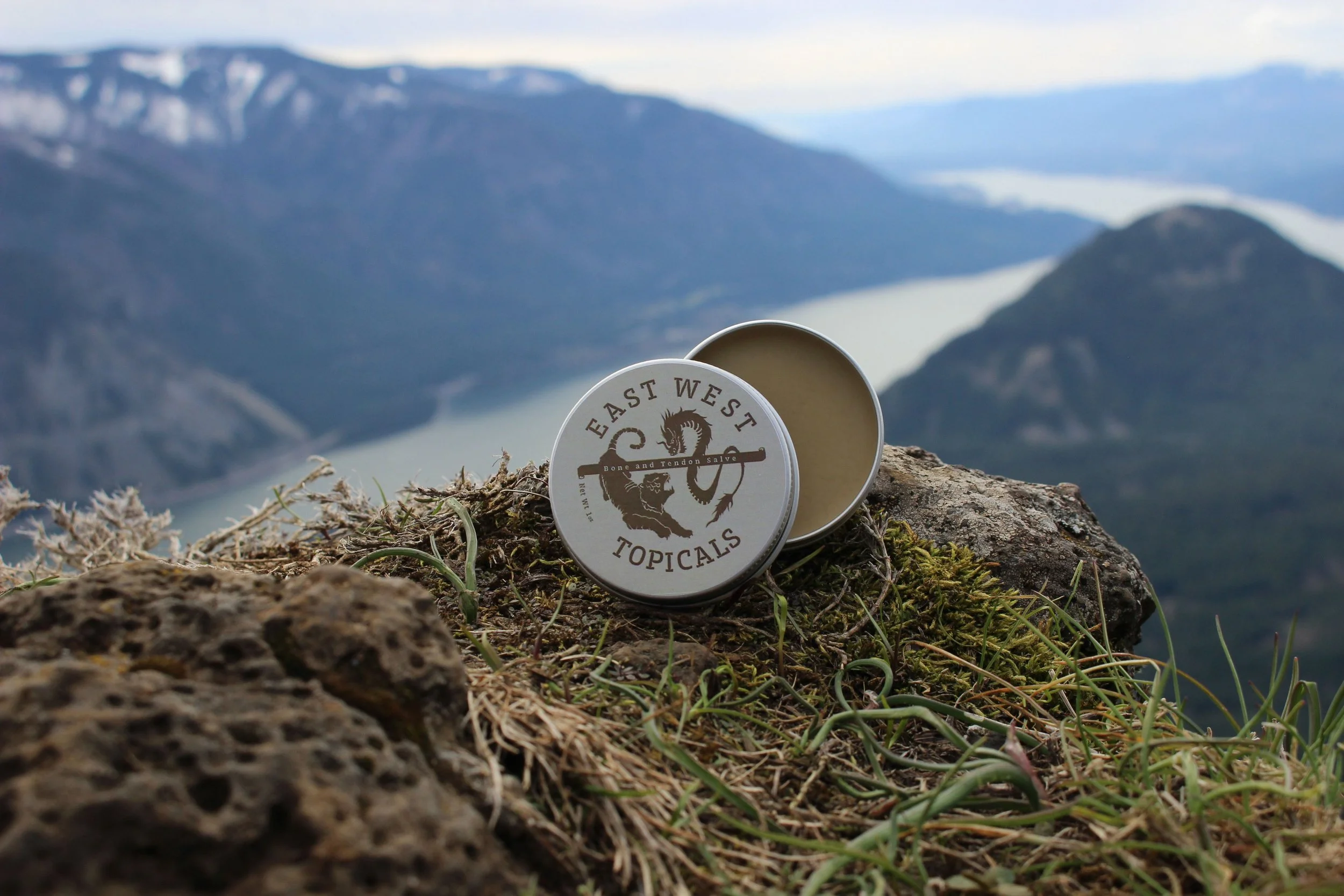 BnT open.jpeg (Copy)