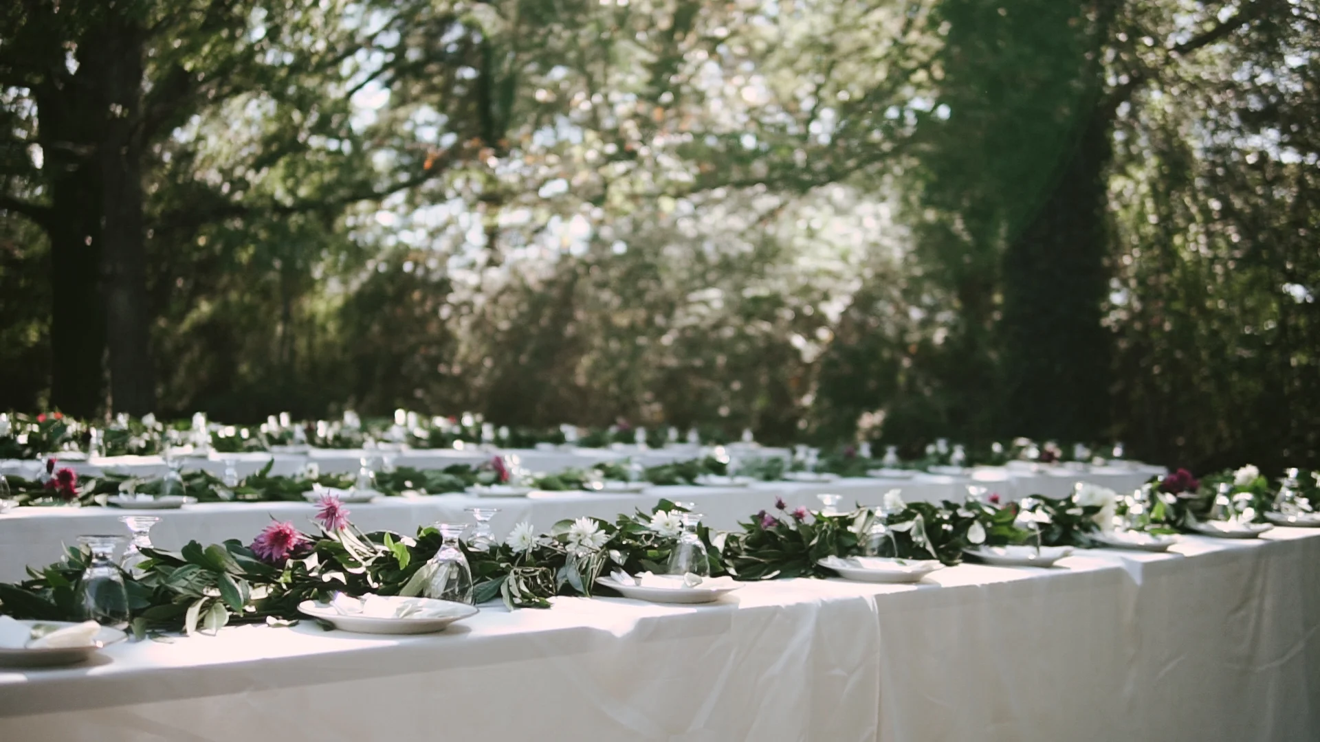 natural and cinematic films for couples in virginia