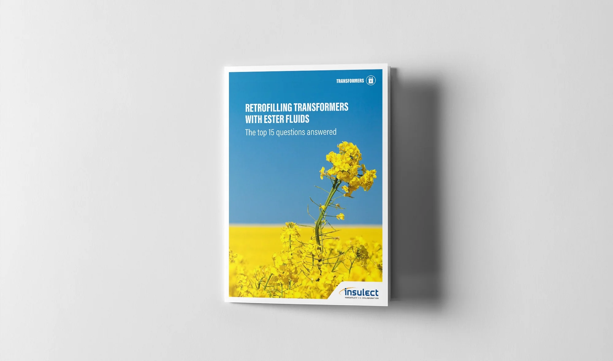 15 Questions Transformer Ester Fluid Retrofill