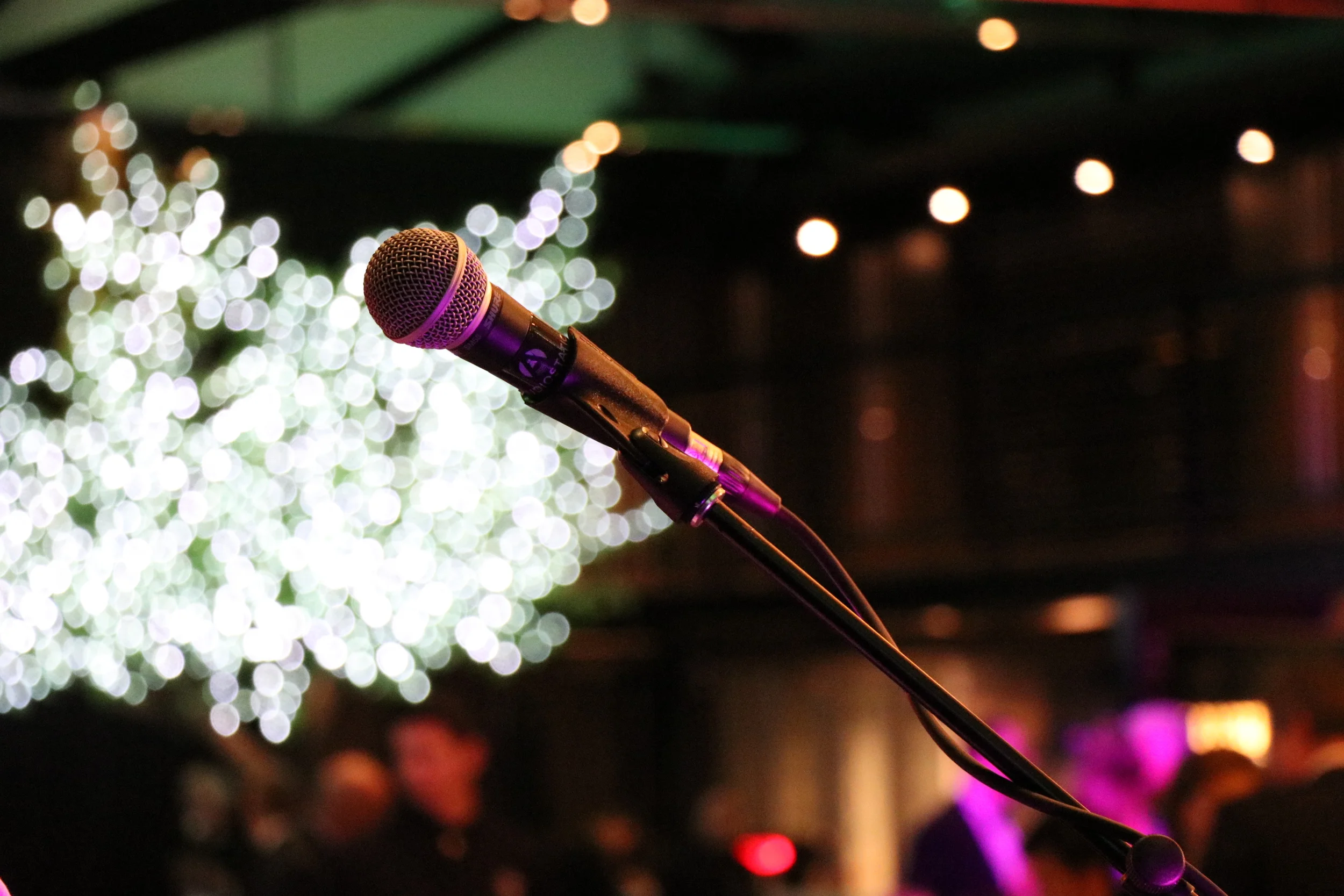 SM58 Vocal Microphone Shure