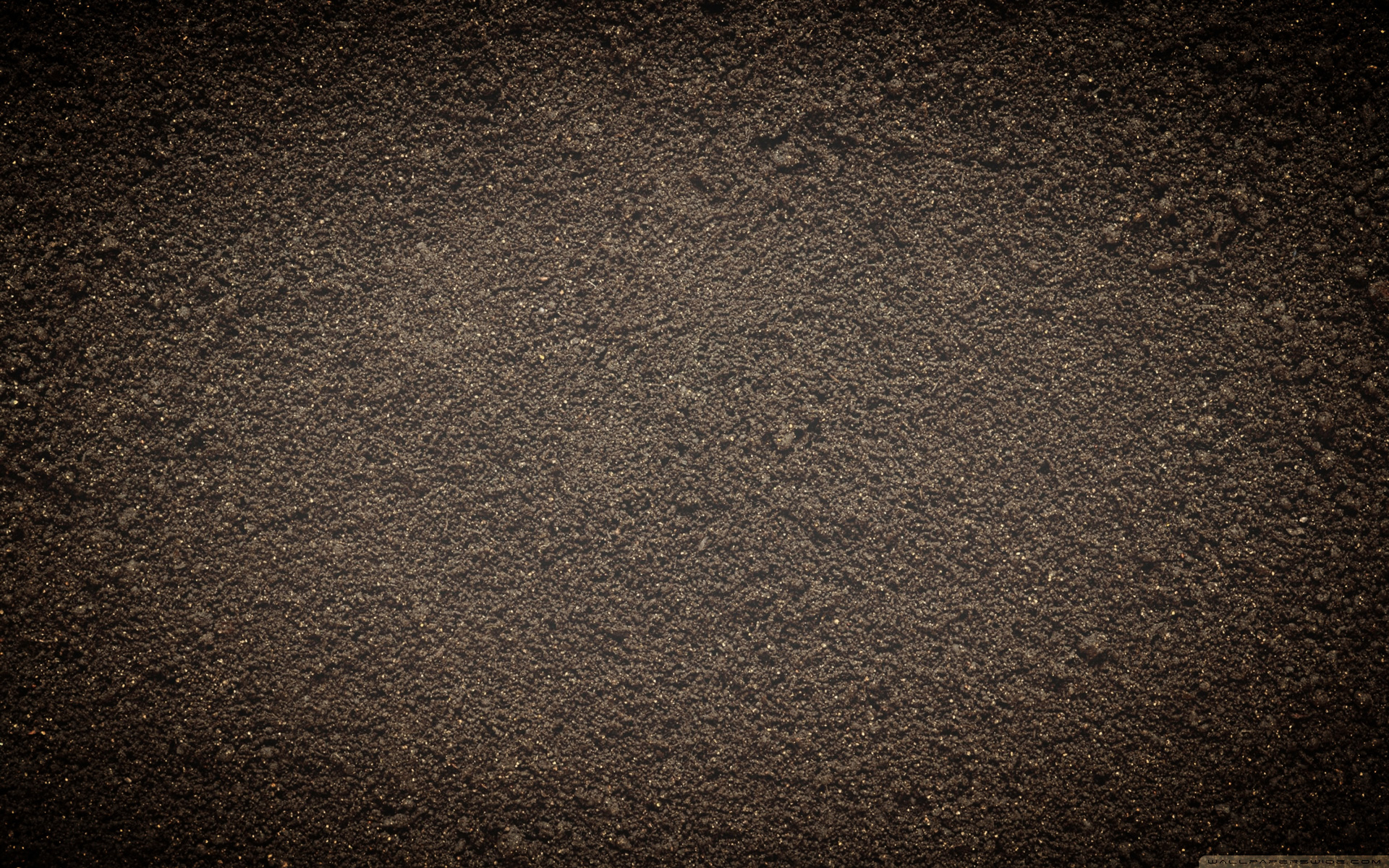 TFM.soil.jpg