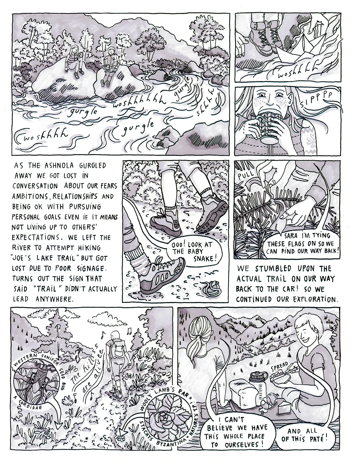 Page3web.jpg