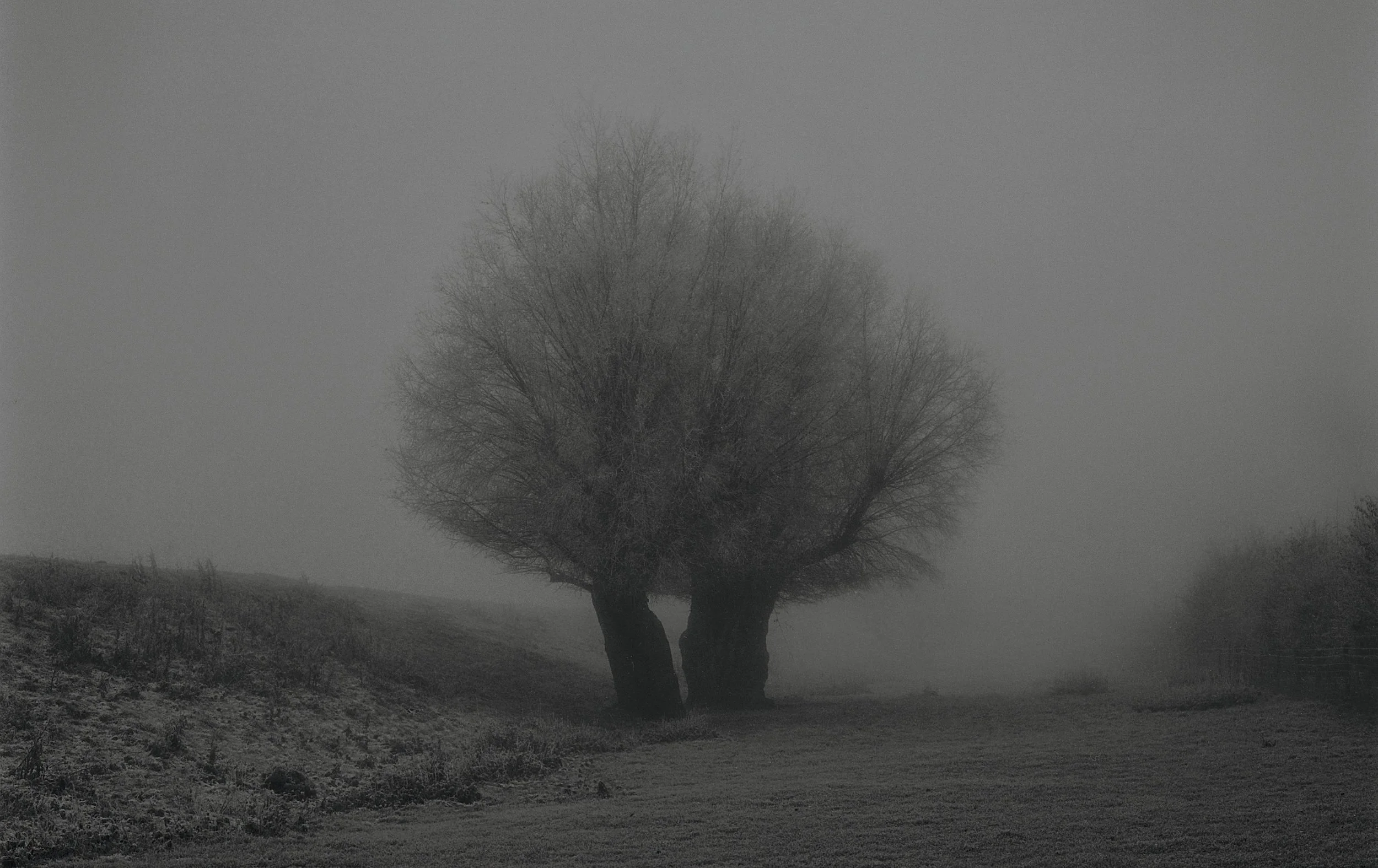 02 paul_hart-fragile_web_cover.jpg