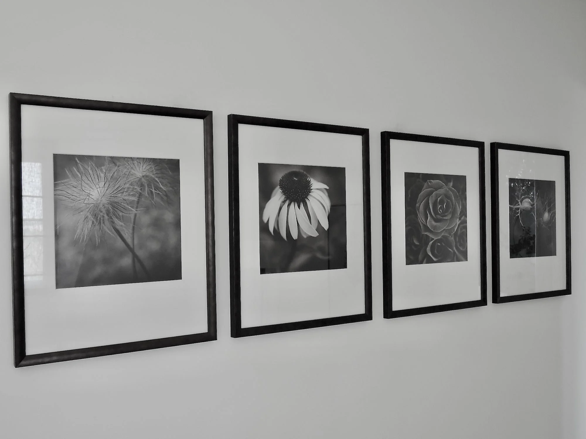 gallery wall.jpg