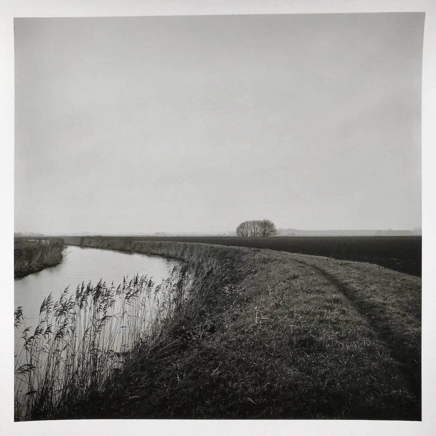 04B : Flatland II .jpeg