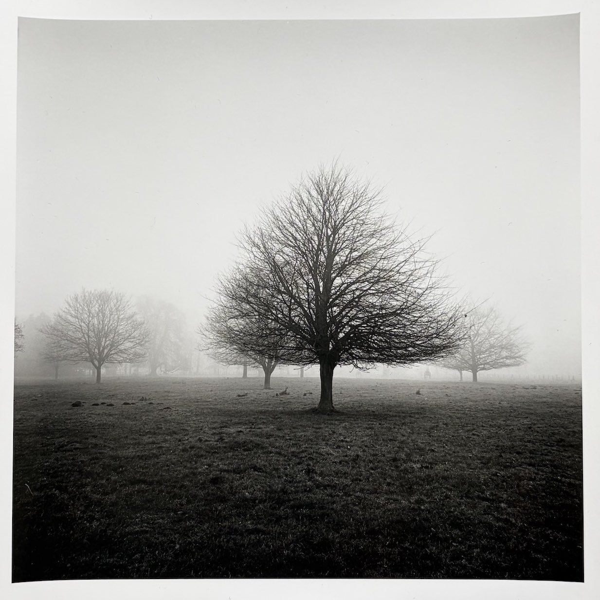 paul-hart-brothertoft - detail - web.jpg