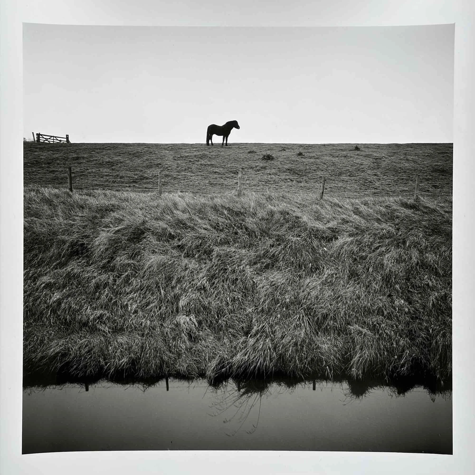 06b paul_hart_sea_bank_drained.jpeg