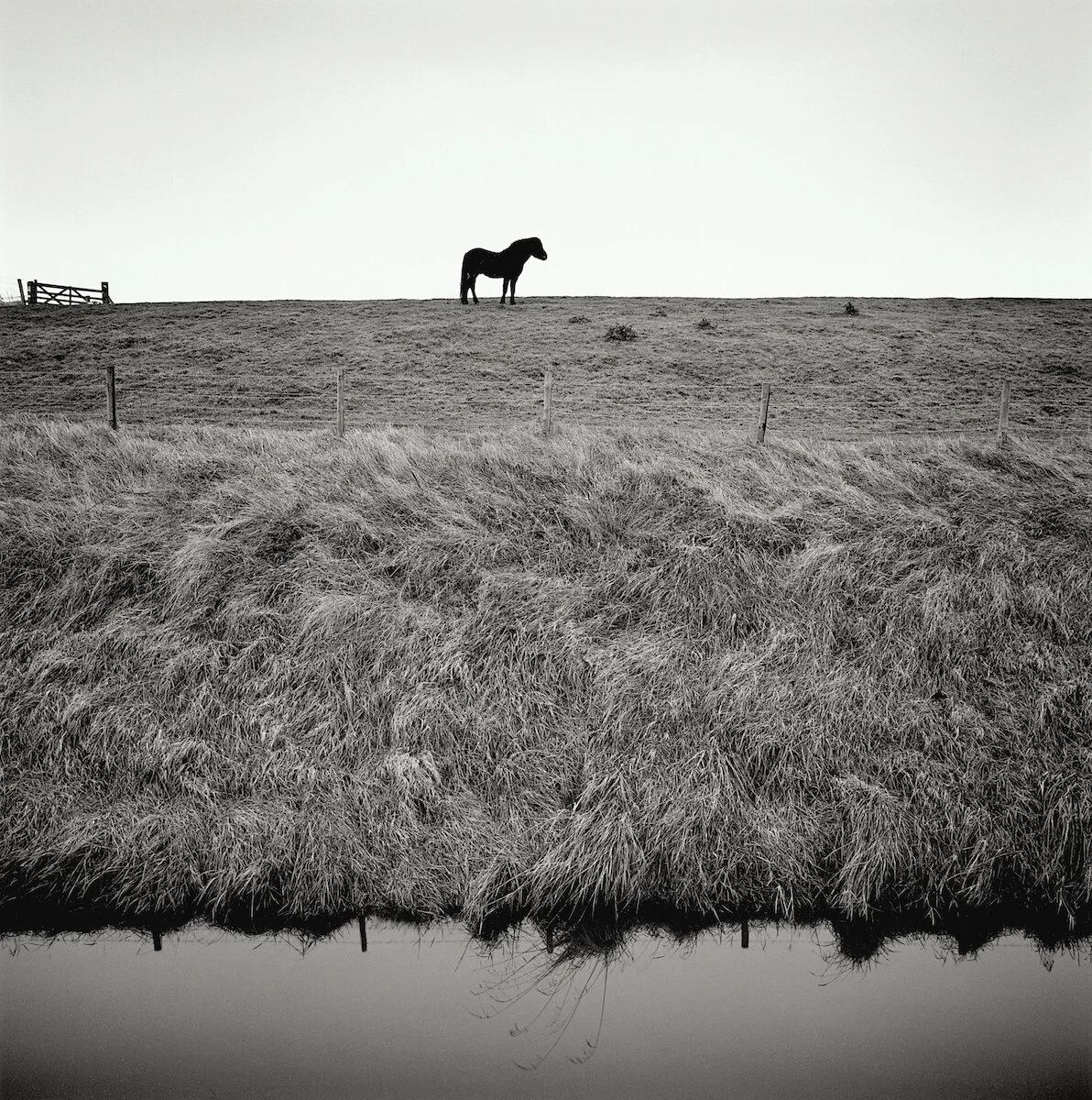 Sea Bank © Paul Hart