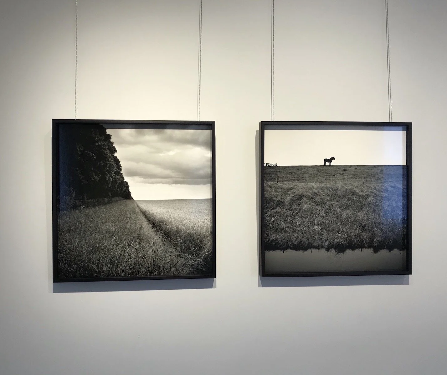 02_edgelands_install_paul_hart.jpeg