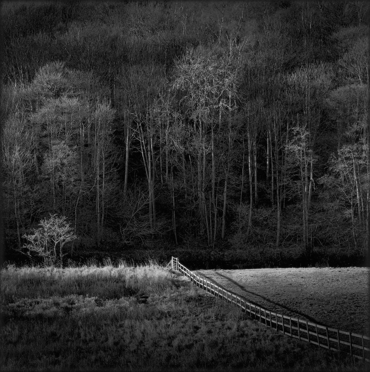 TRUNCATED — PAUL HART