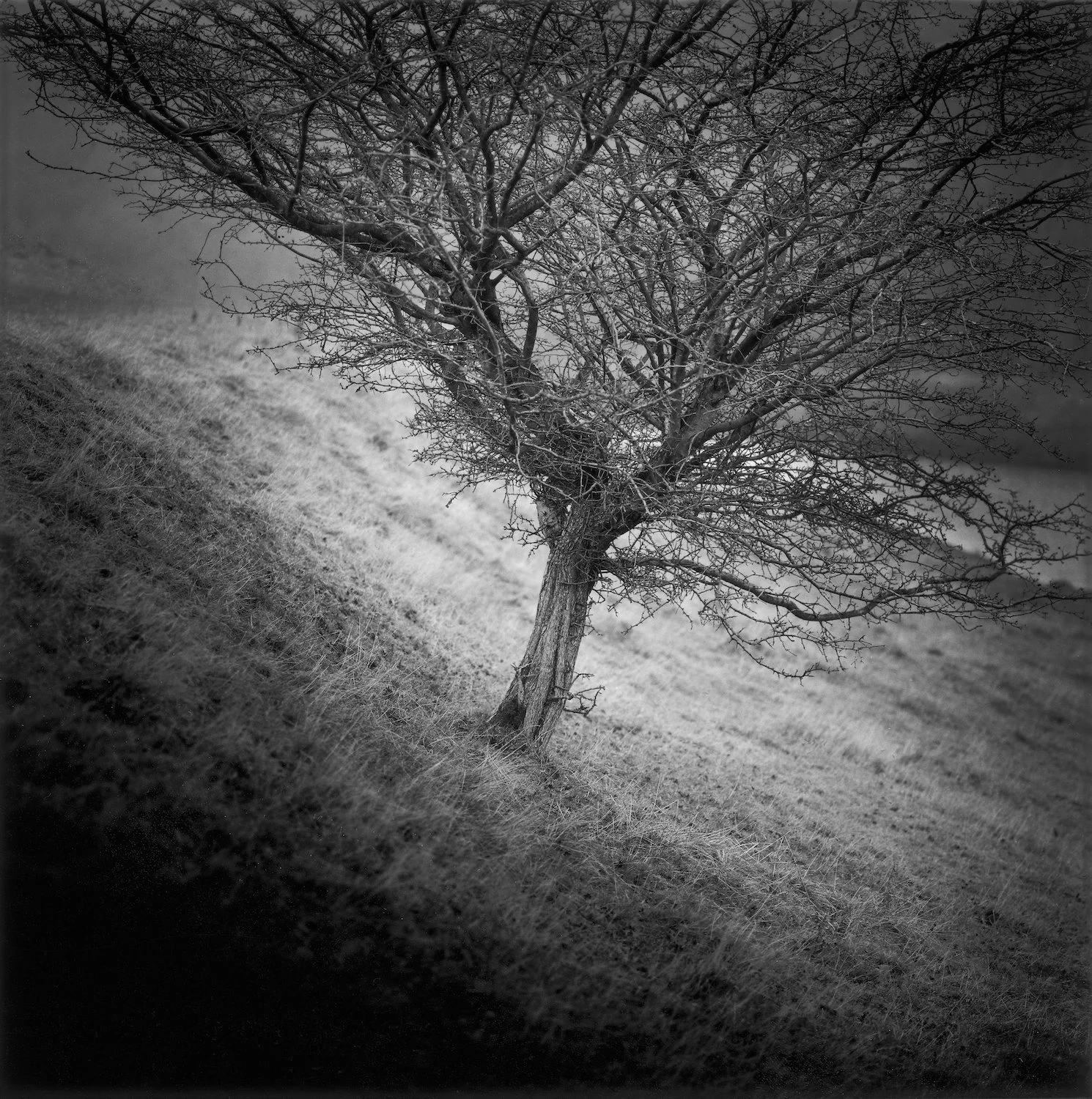 TRUNCATED — PAUL HART