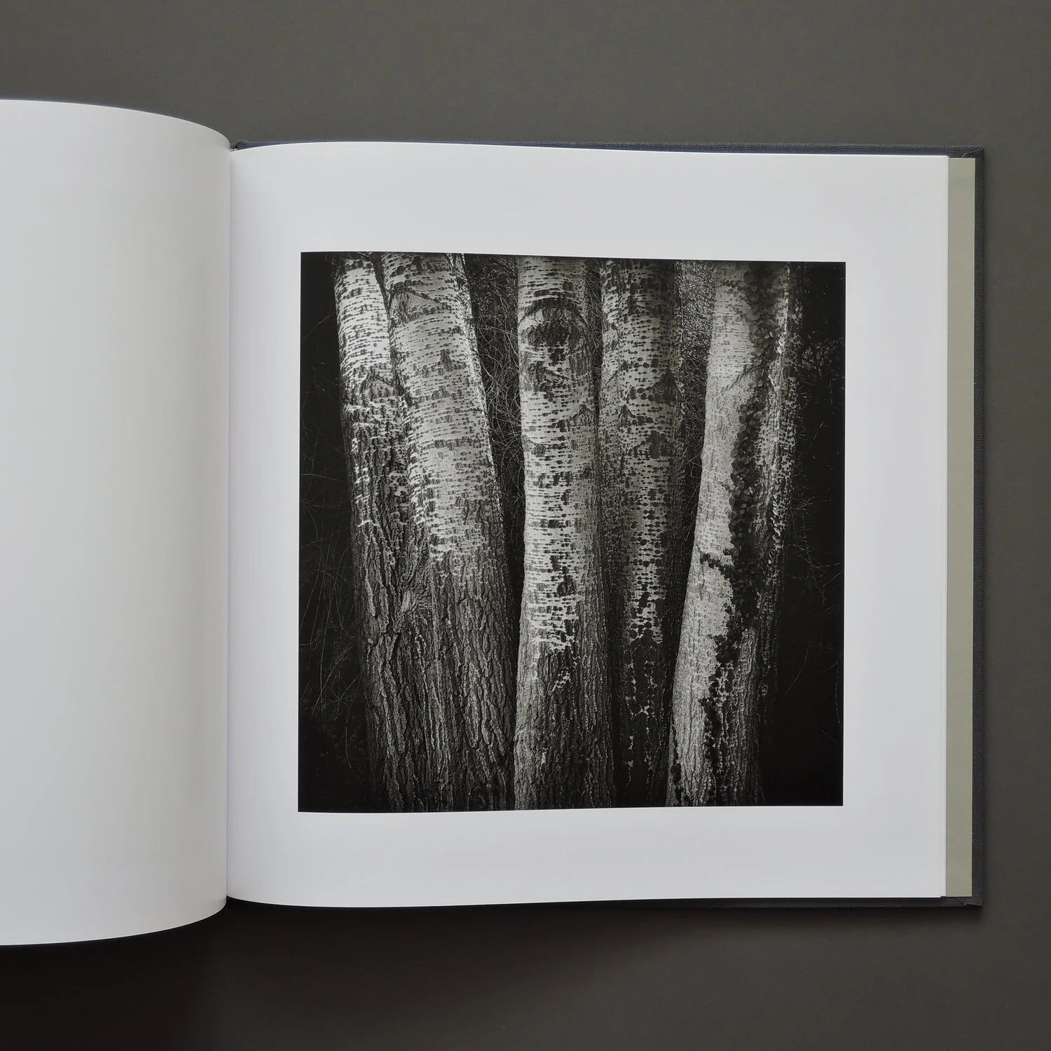 06_paul_hart_truncated_book.jpg