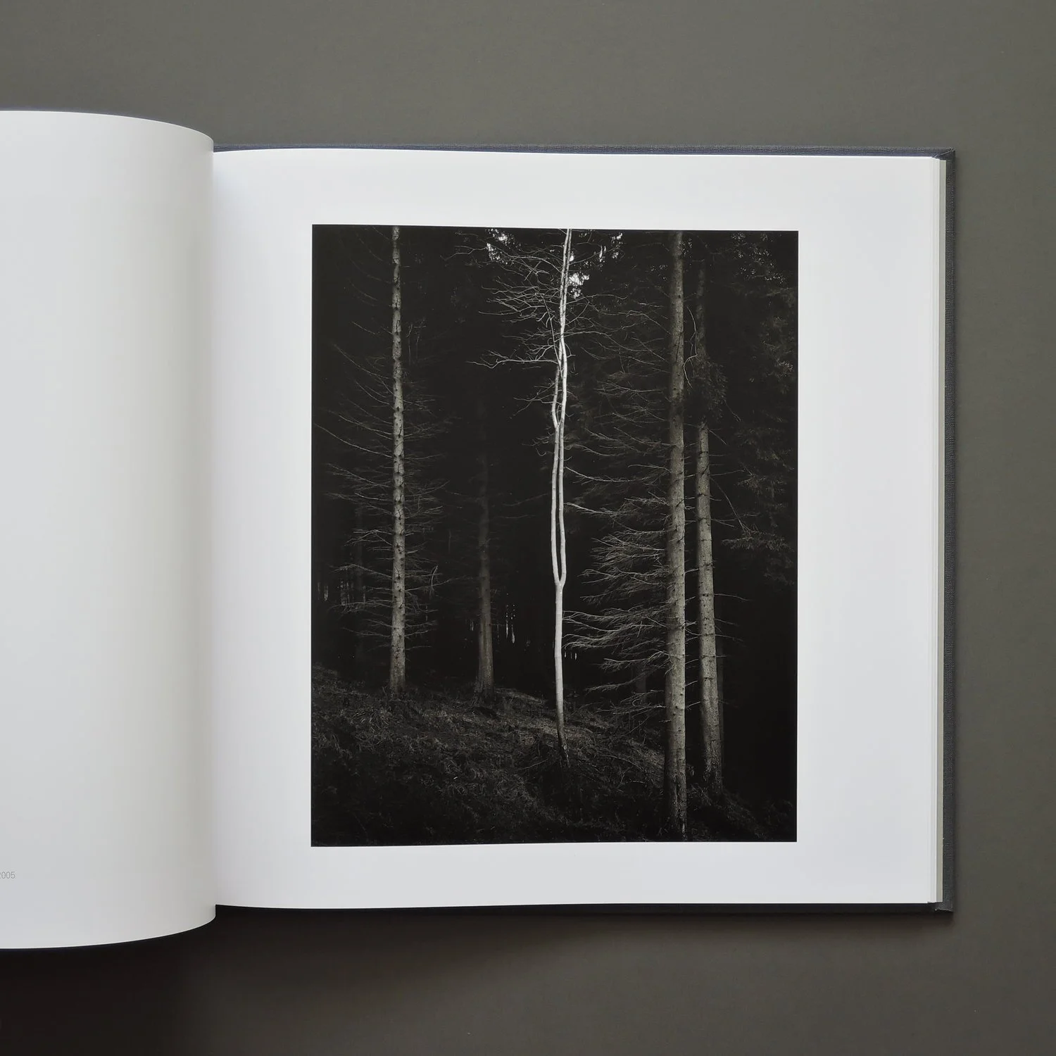 08_paul_hart_truncated_book.jpg