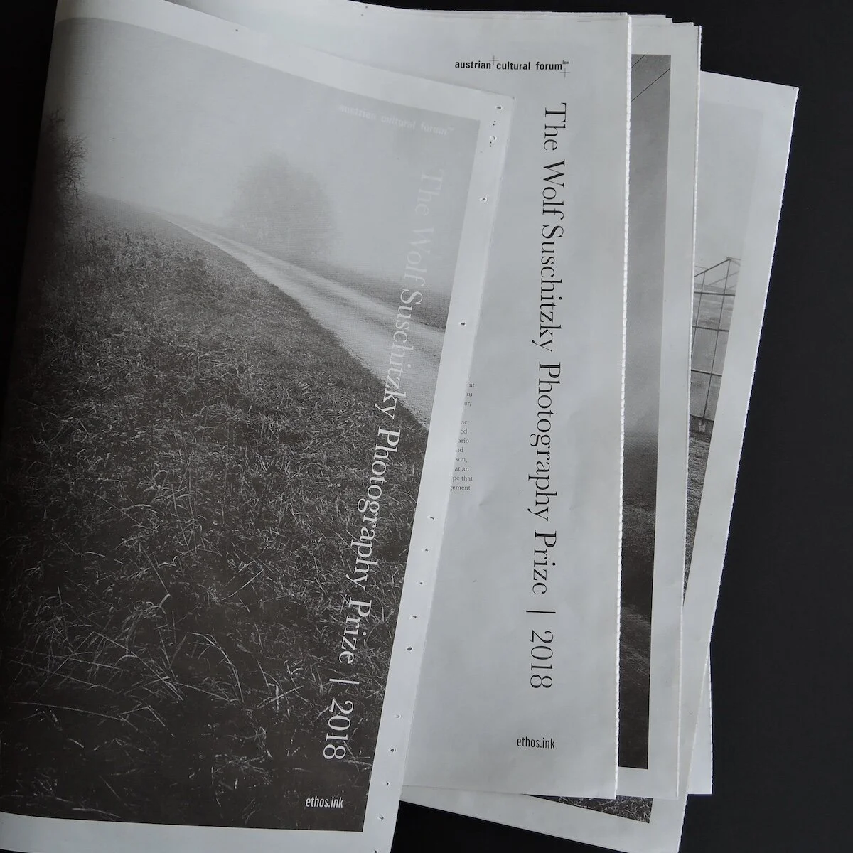 02 paul_hart-catalogue.jpeg