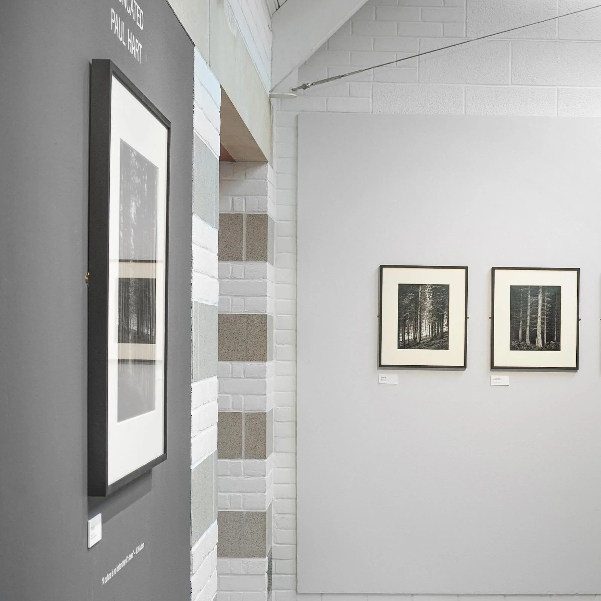 05_paul_hart_harley_gallery.jpg (Copy) (Copy) (Copy)