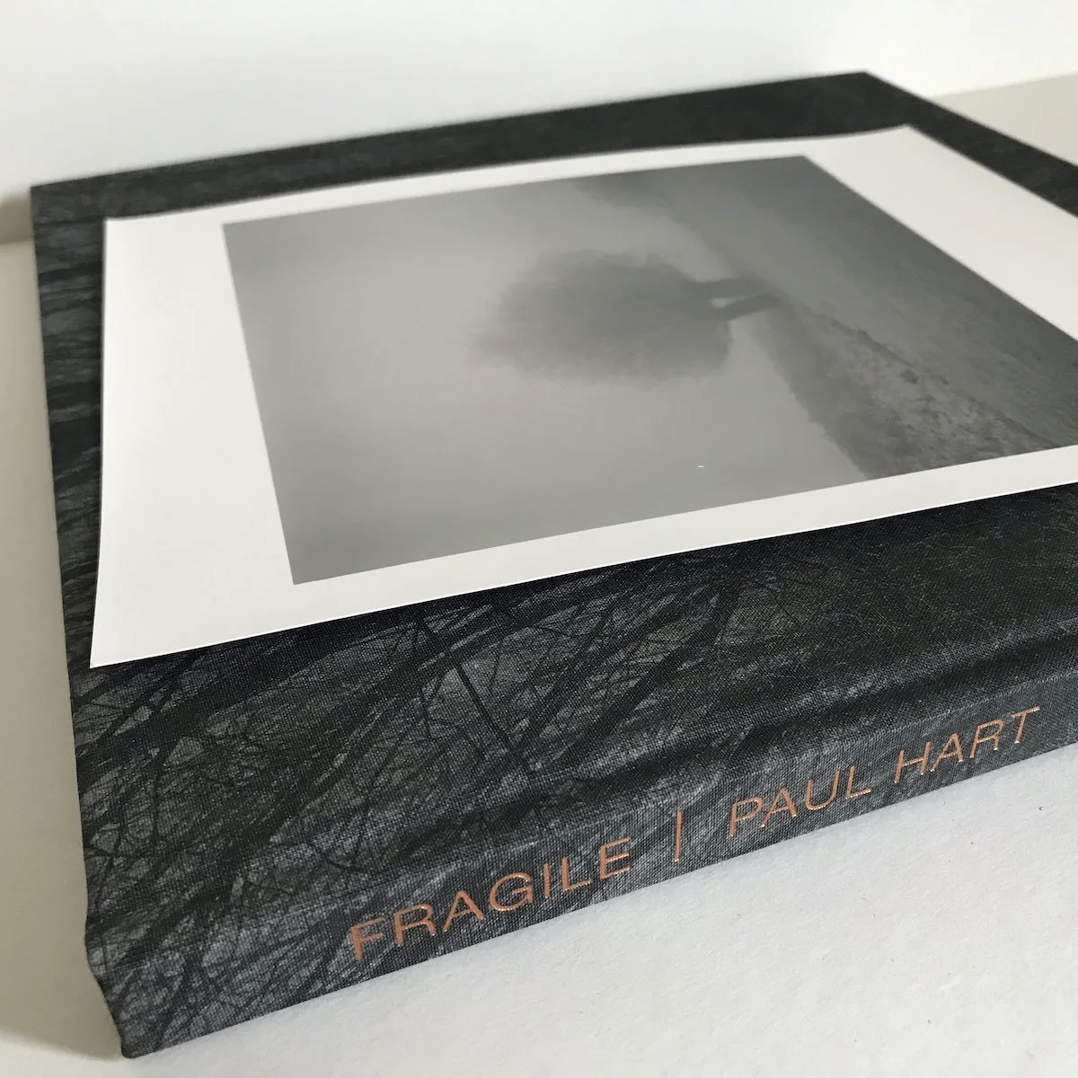 04_paul_hart-fragile_book_print_set.jpg