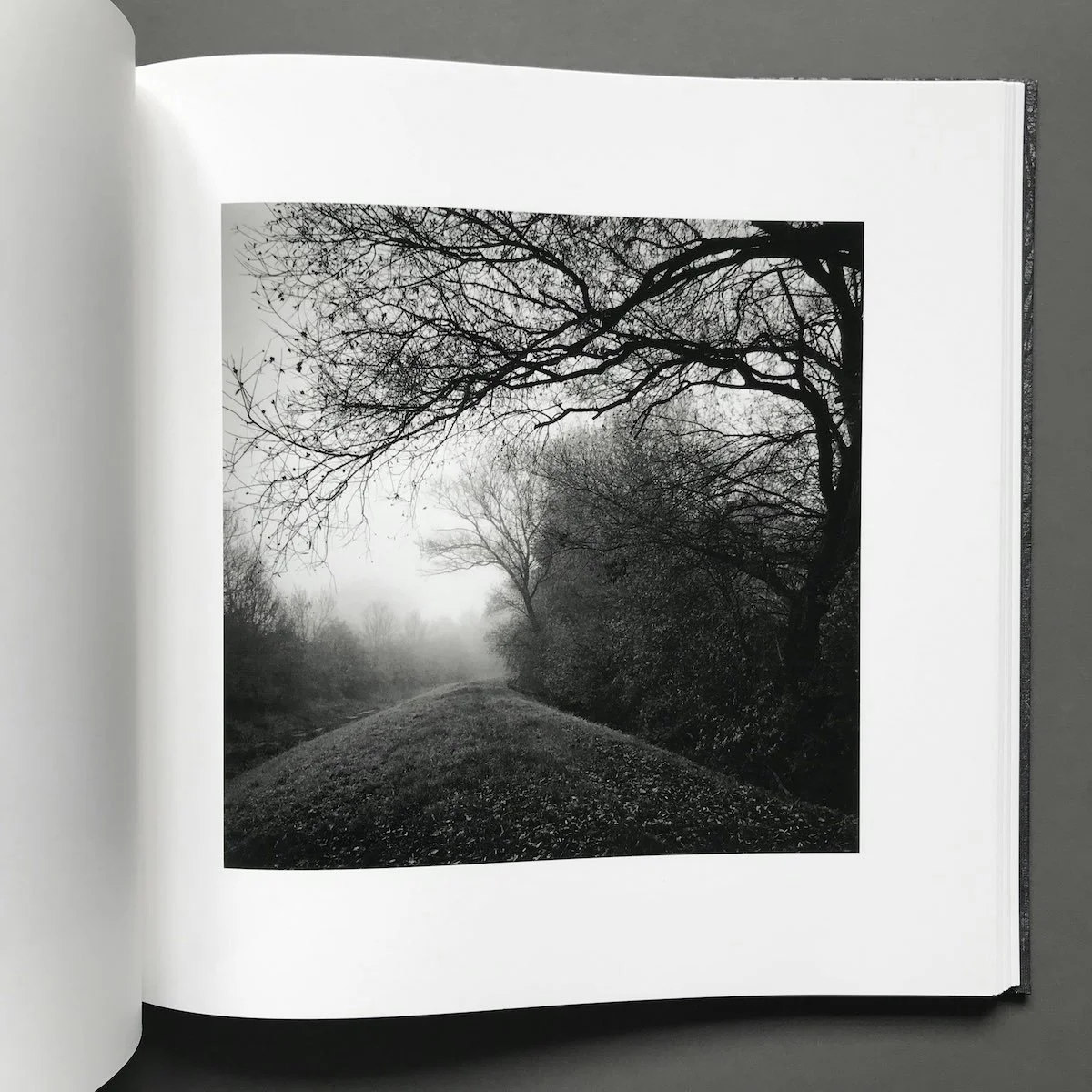 06_paul_hart-fragile_book_print_set.jpg