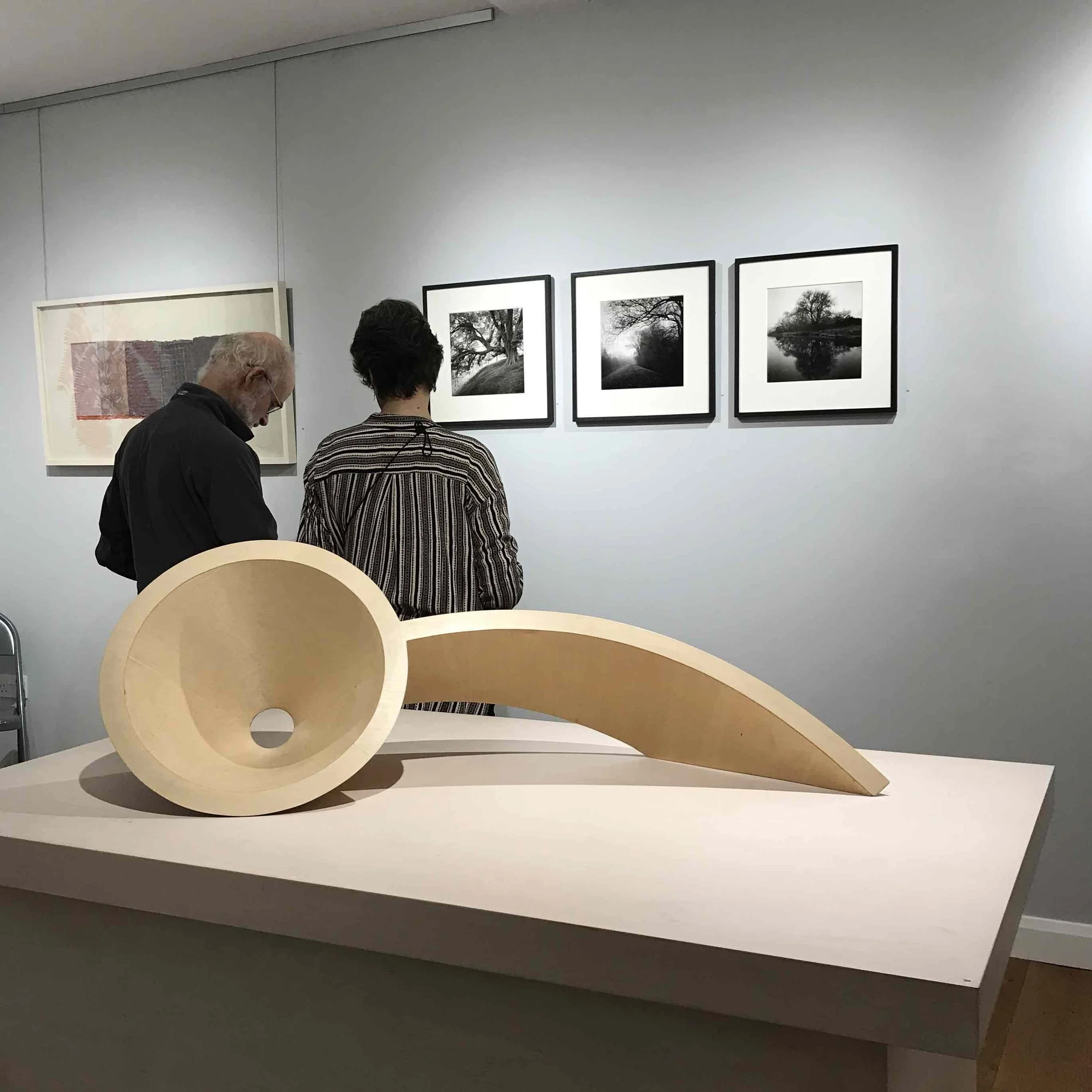 paul_hart_tress_observed_exhibition.jpg (Copy)