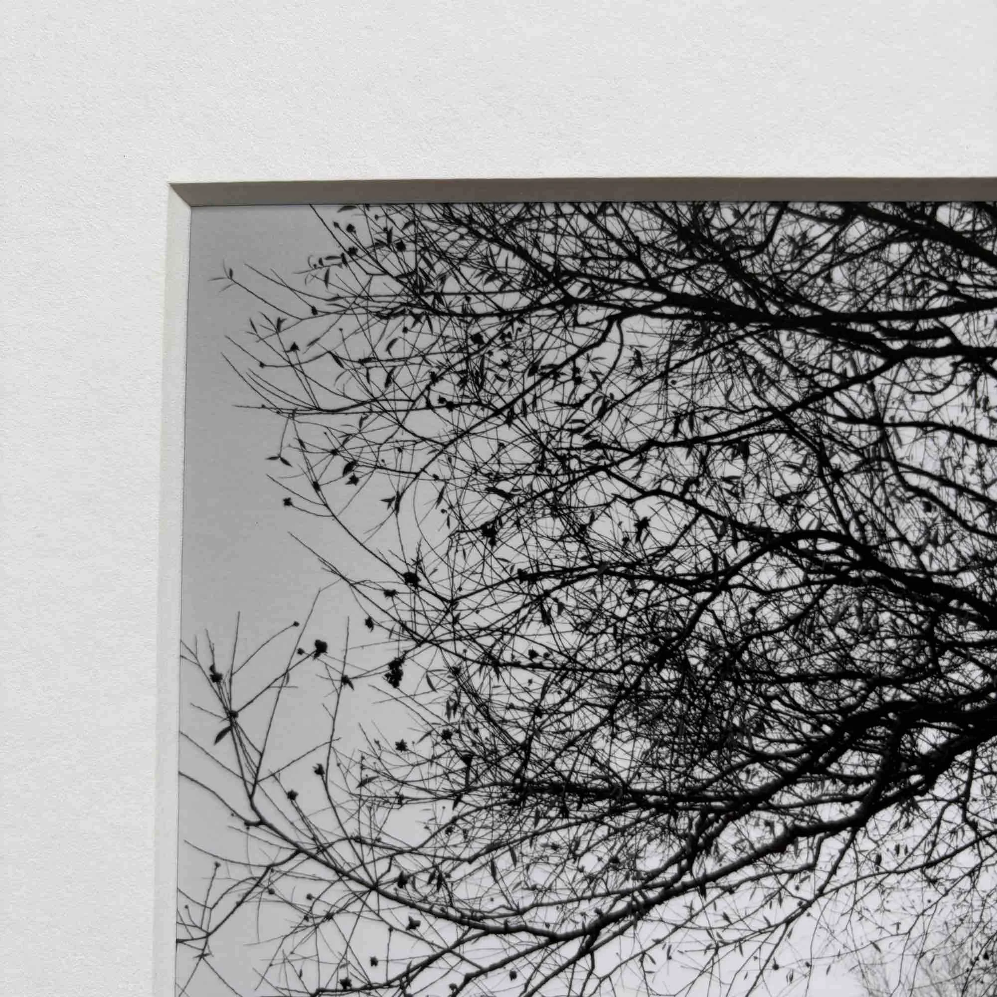 02 paul_hart_november_II.jpg